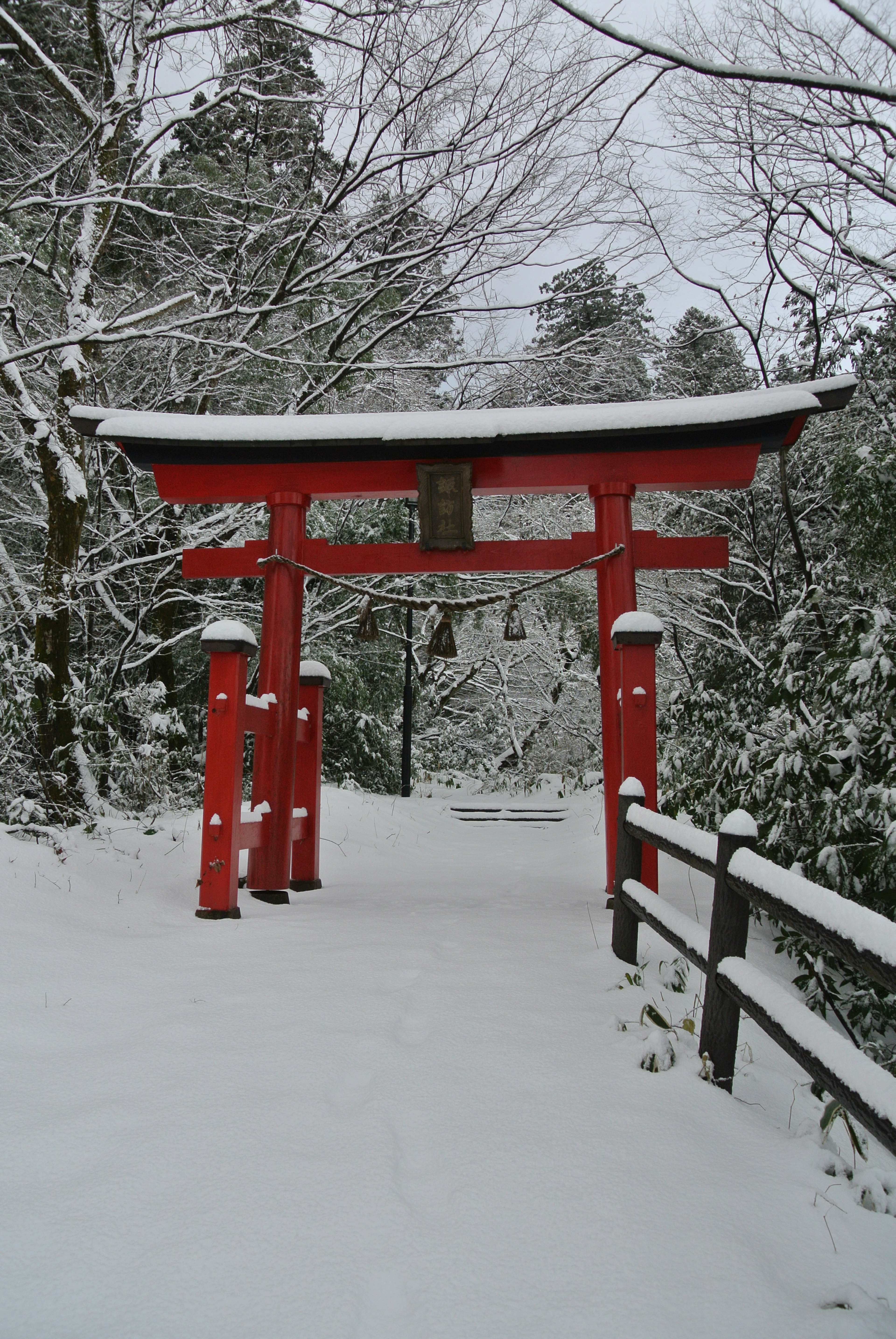 雪覆蓋的紅色鳥居與寧靜的冬季景觀