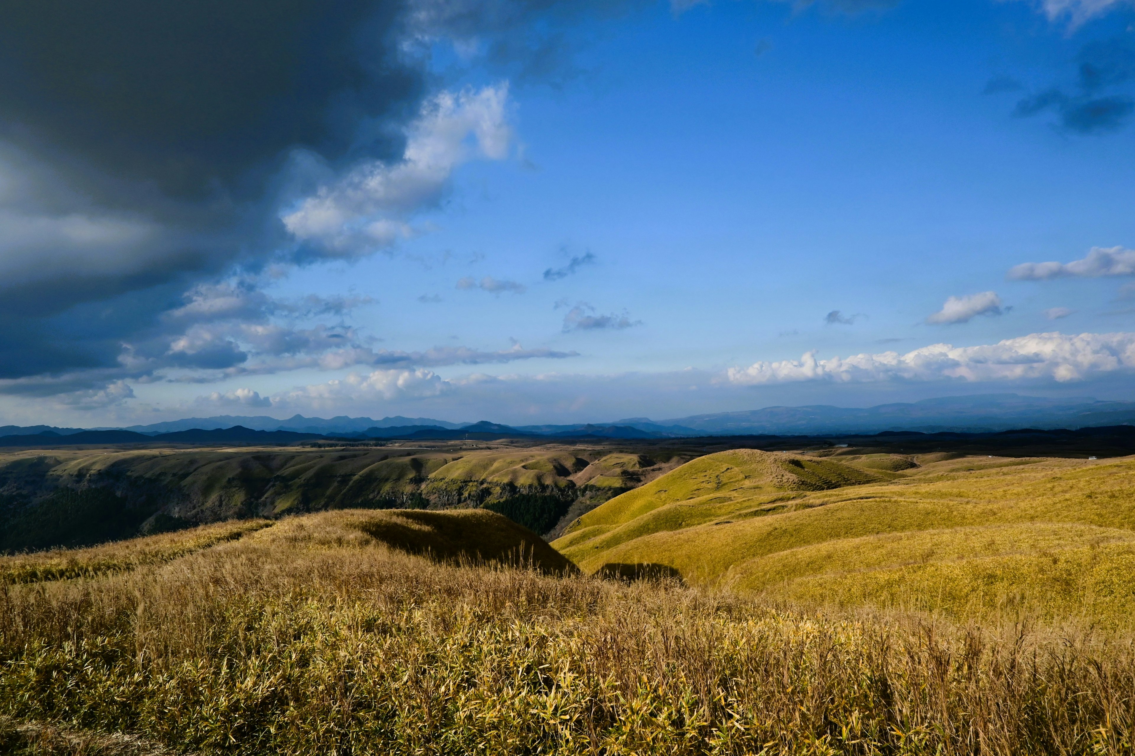 Vast grassy landscape under a blue sky with clouds