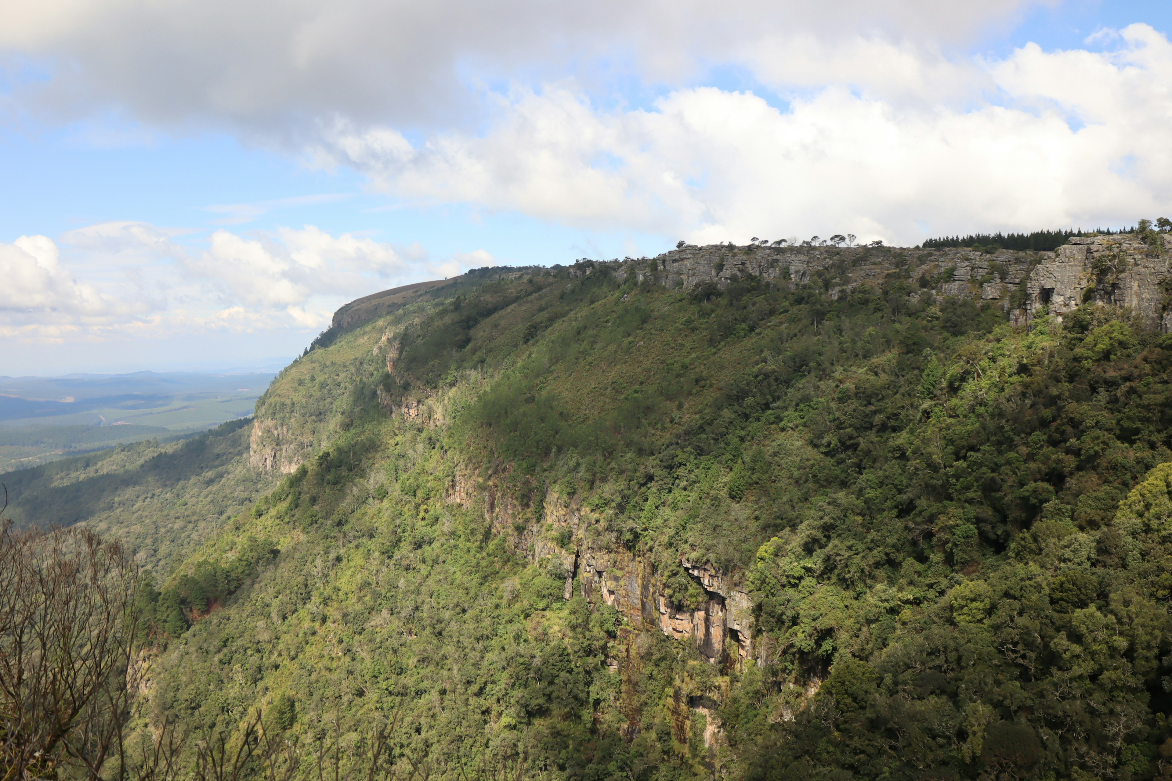 Lush green mountainside under a blue sky