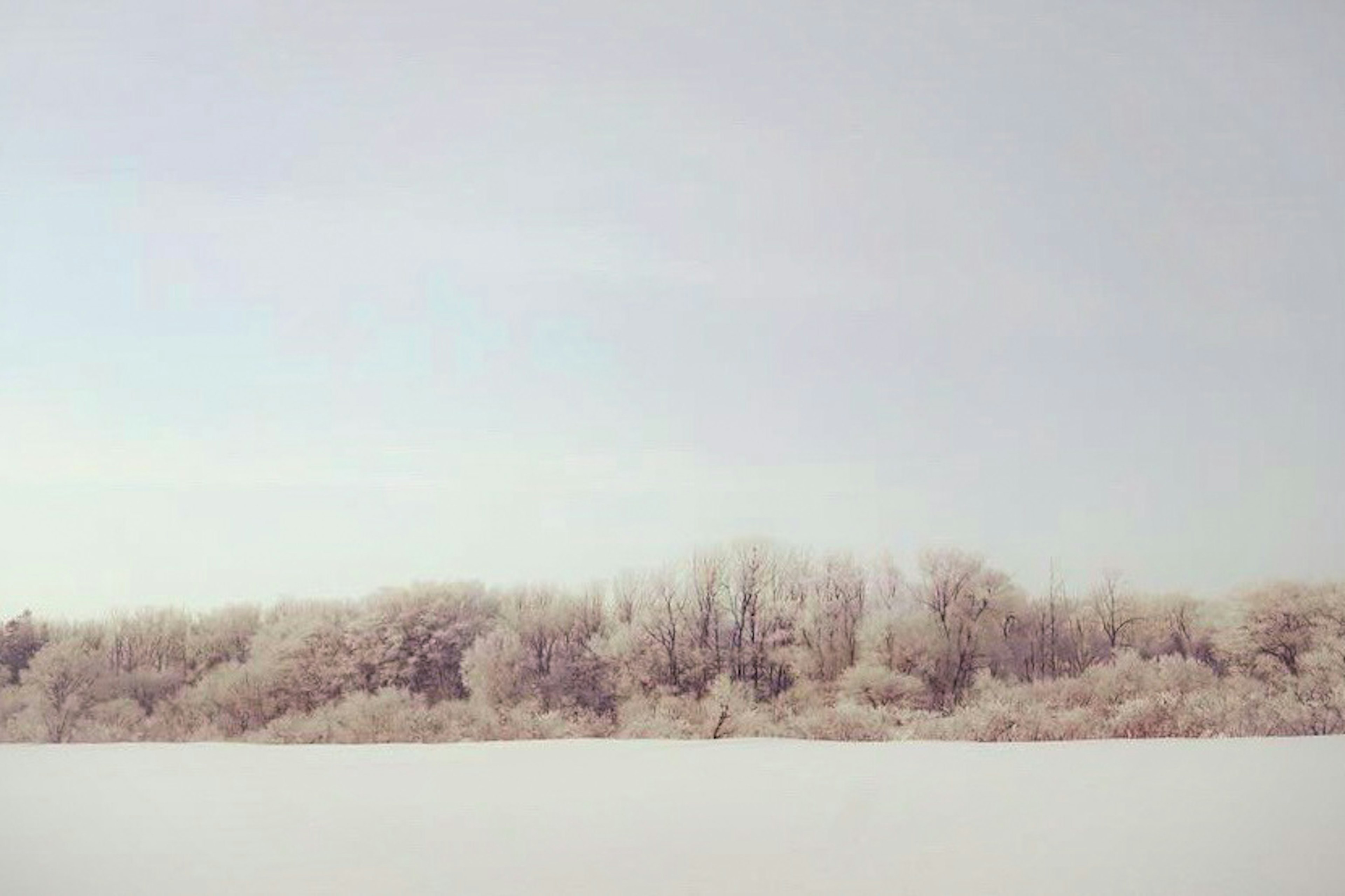 Paesaggio innevato con tonalità morbide del cielo