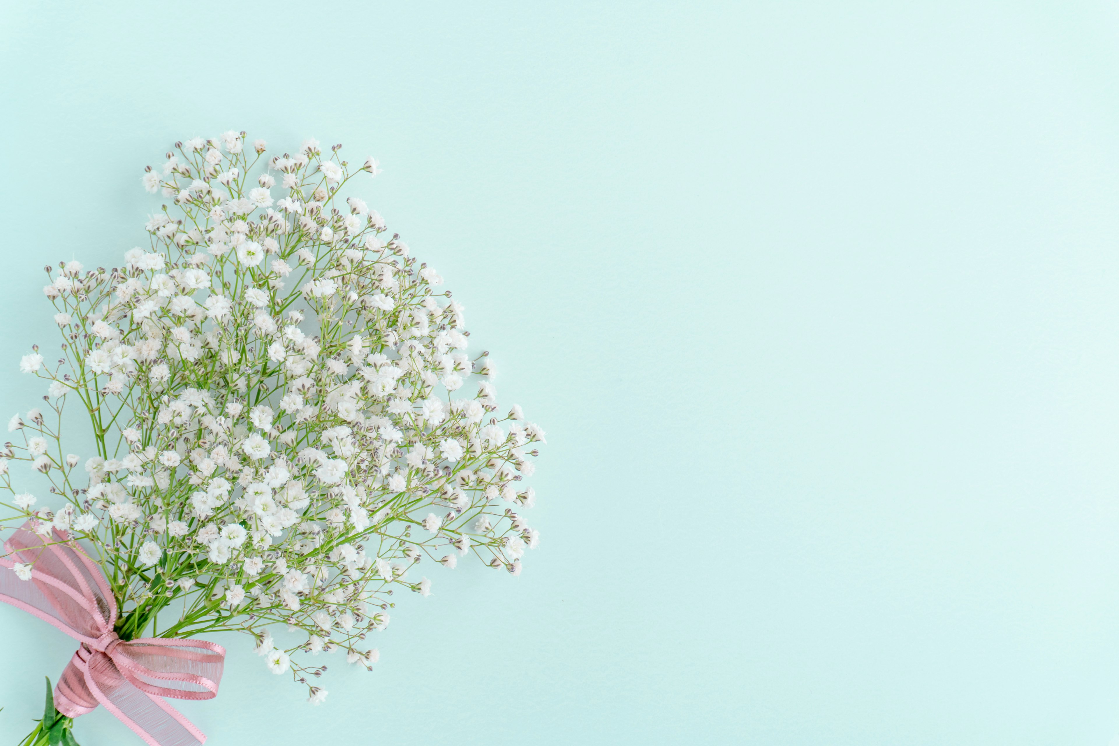 Un bouquet di fiori di respiro di bambino bianchi con un nastro rosa su uno sfondo azzurro chiaro