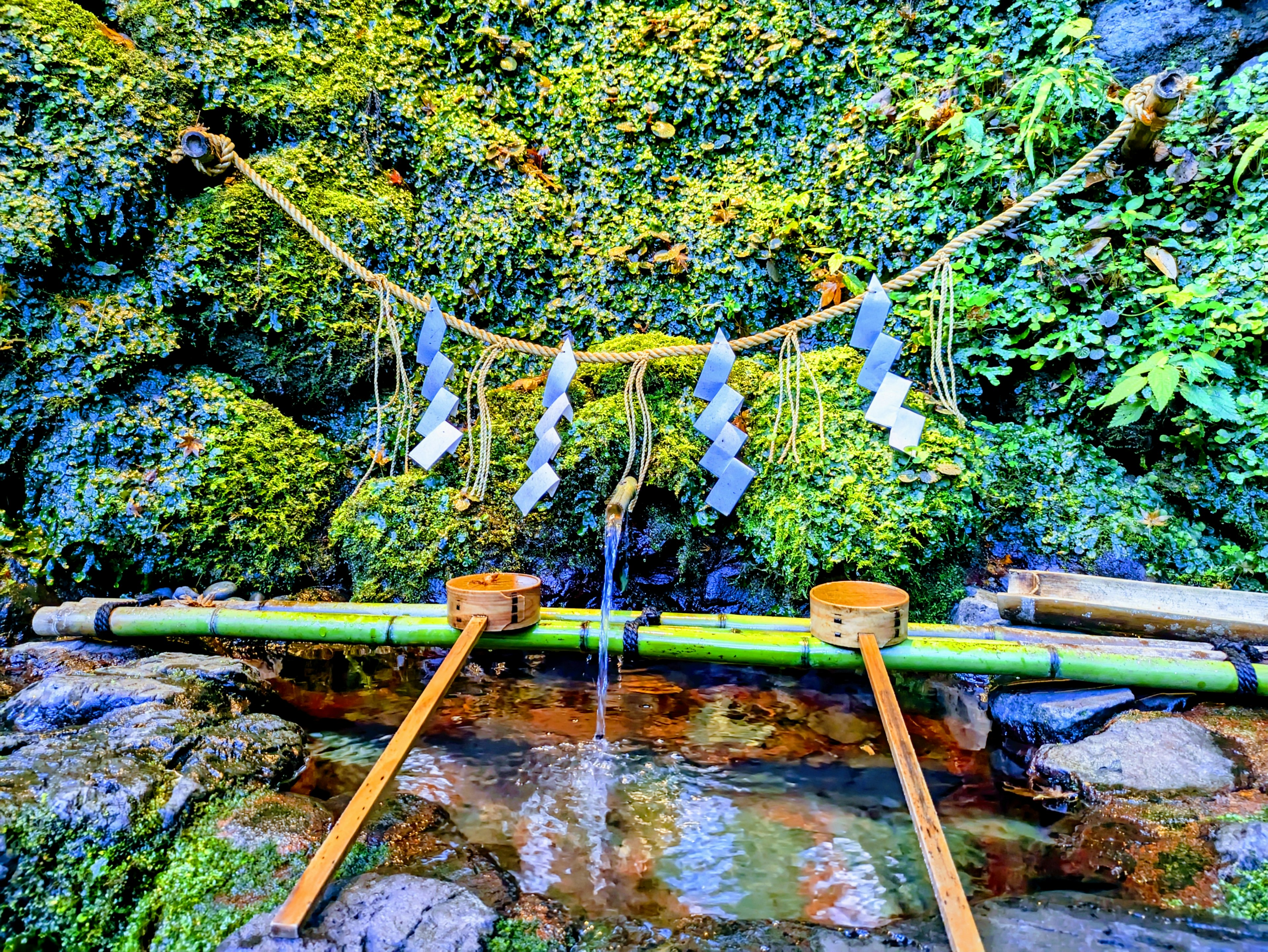 Bañera de agua de bambú con shimenawa colgando sobre un fondo de musgo