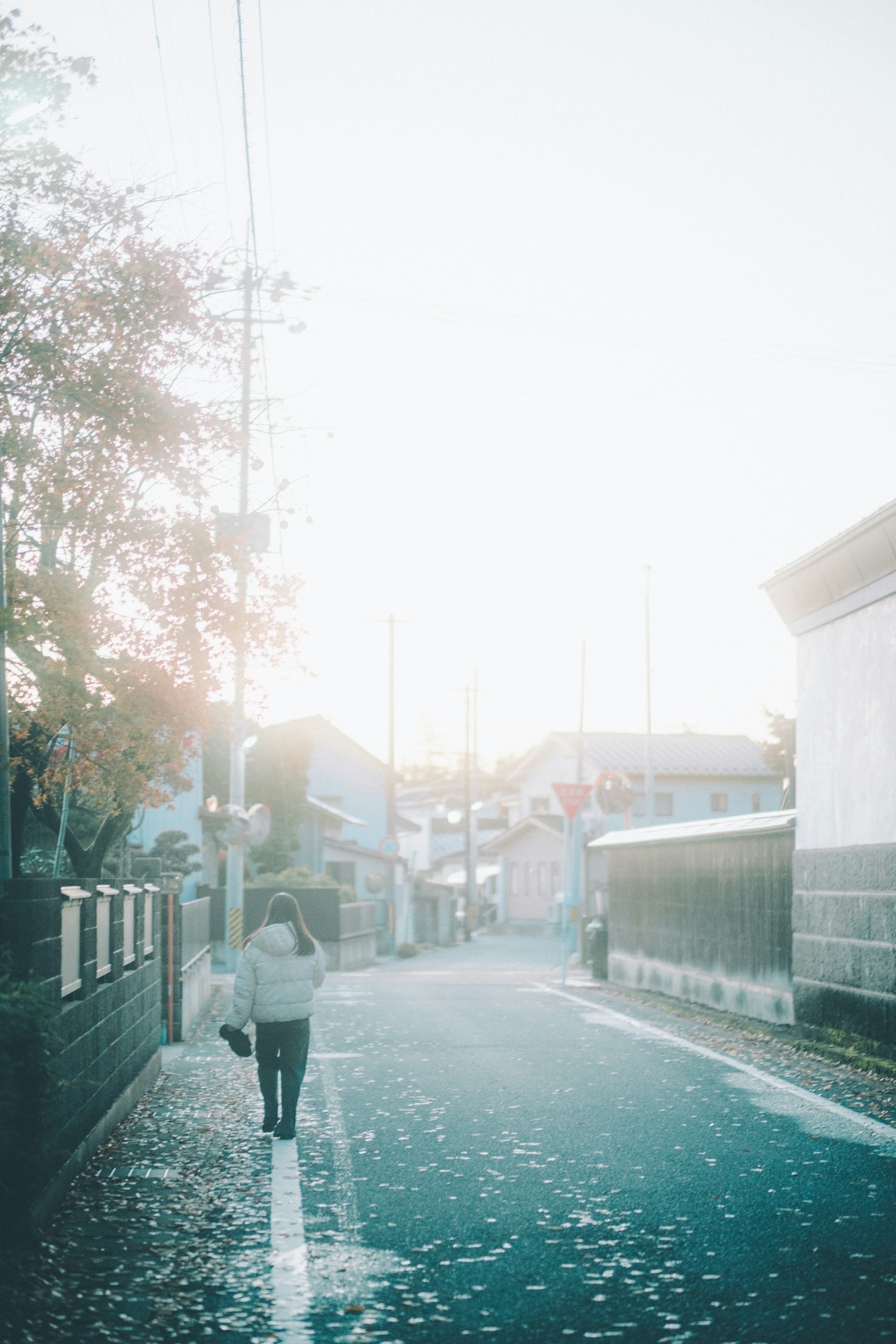 薄明かりの中を歩く人と落ち葉のある静かな街並み