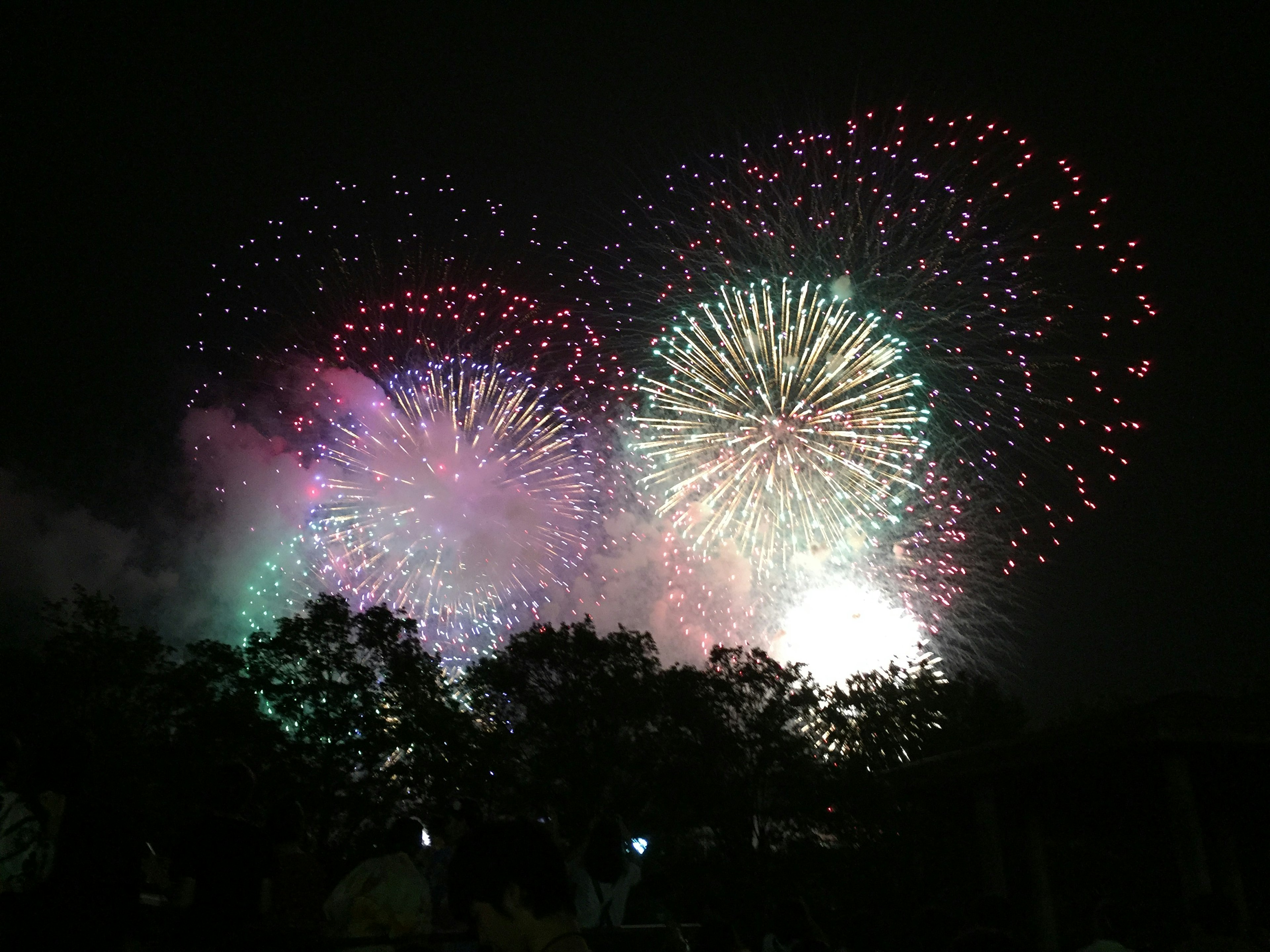 Fuochi d'artificio colorati che esplodono nel cielo notturno con fumi