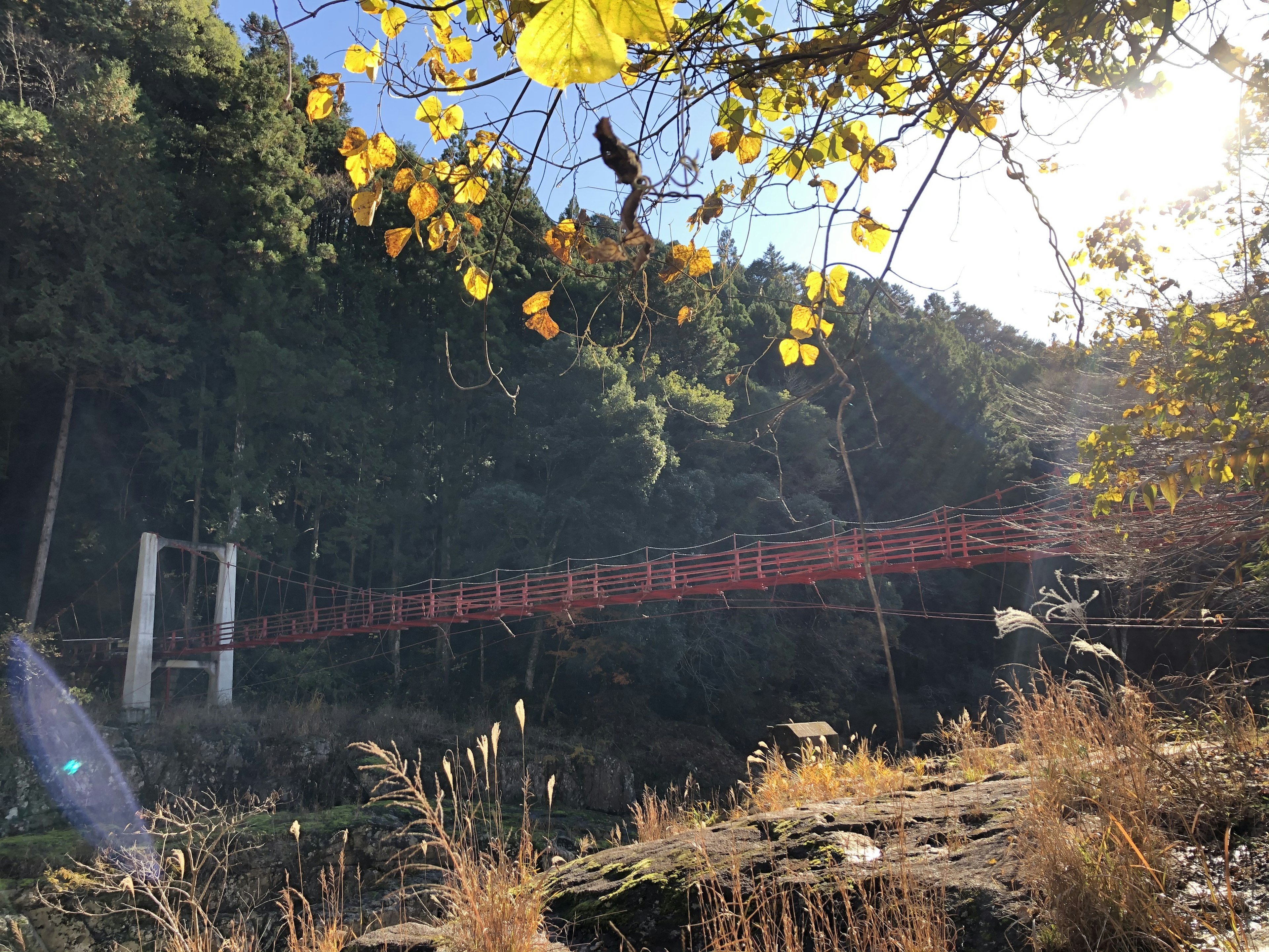 Vue pittoresque d'un pont rouge entouré de feuilles d'automne