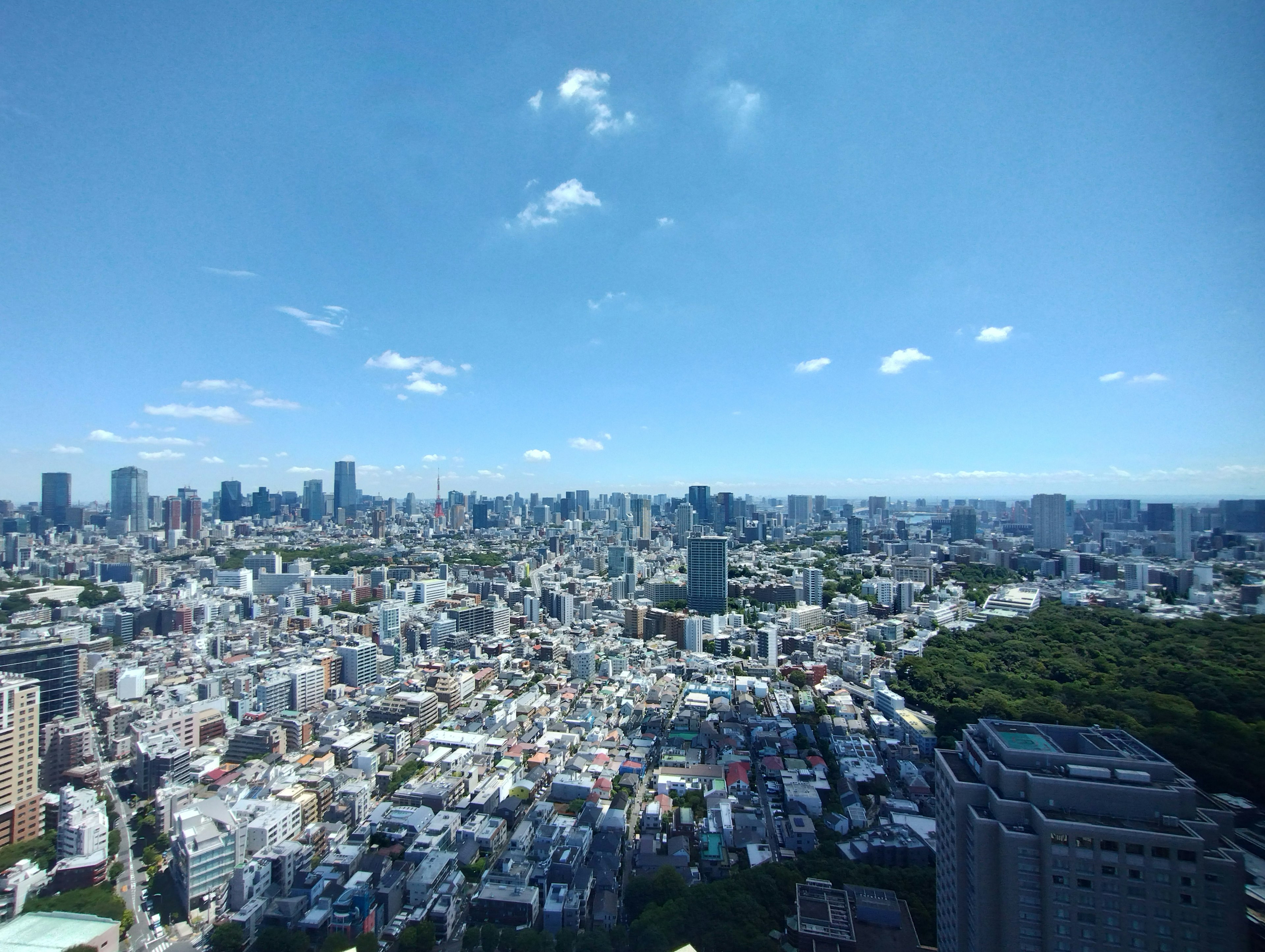 도쿄의 광활한 도시 풍경을 보여주는 파노라마 사진 푸른 하늘과 고층 건물이 특징