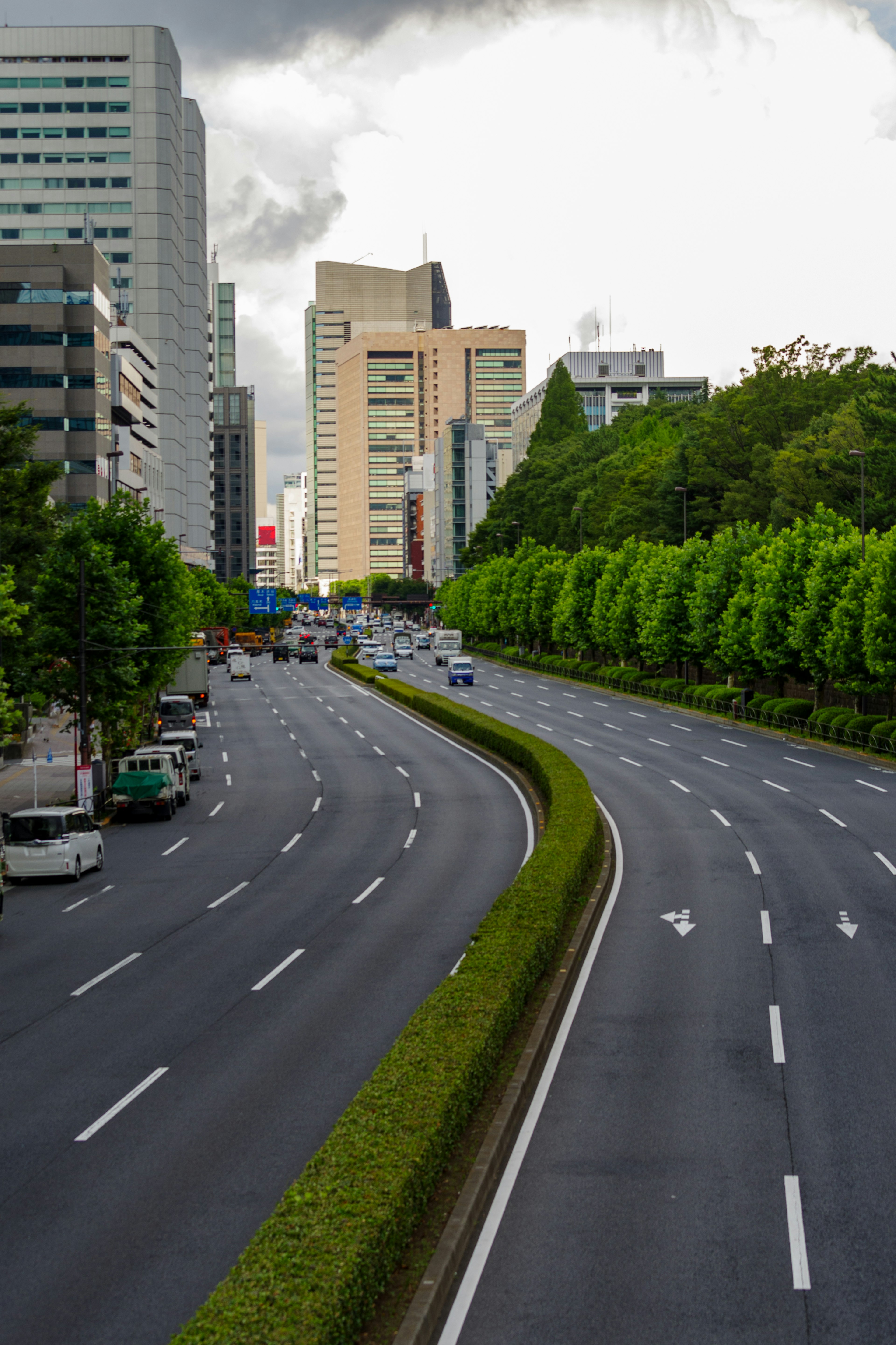 City road lined with green trees and skyscrapers