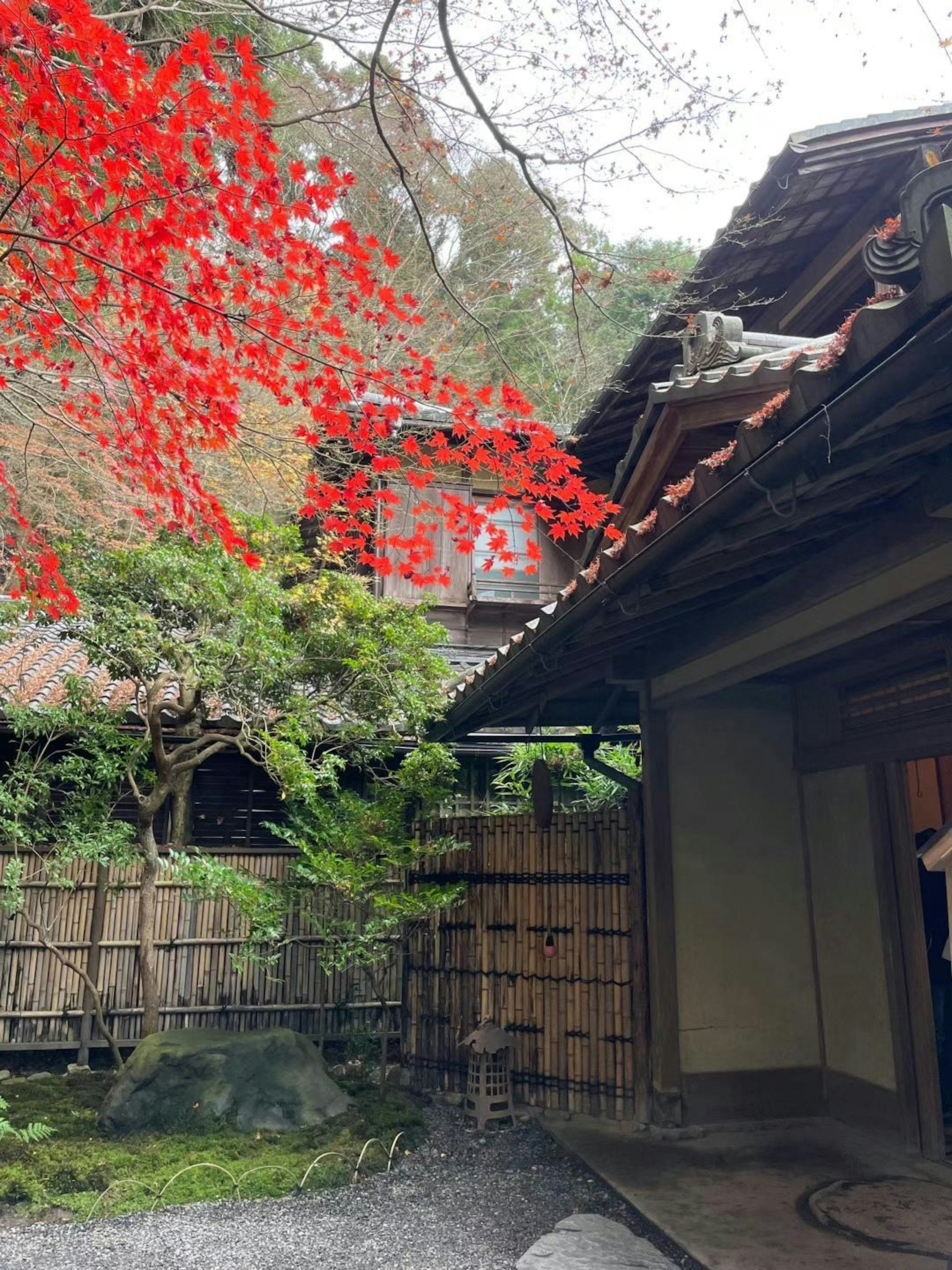 Giardino giapponese tradizionale con foglie rosse vivaci e strutture in legno