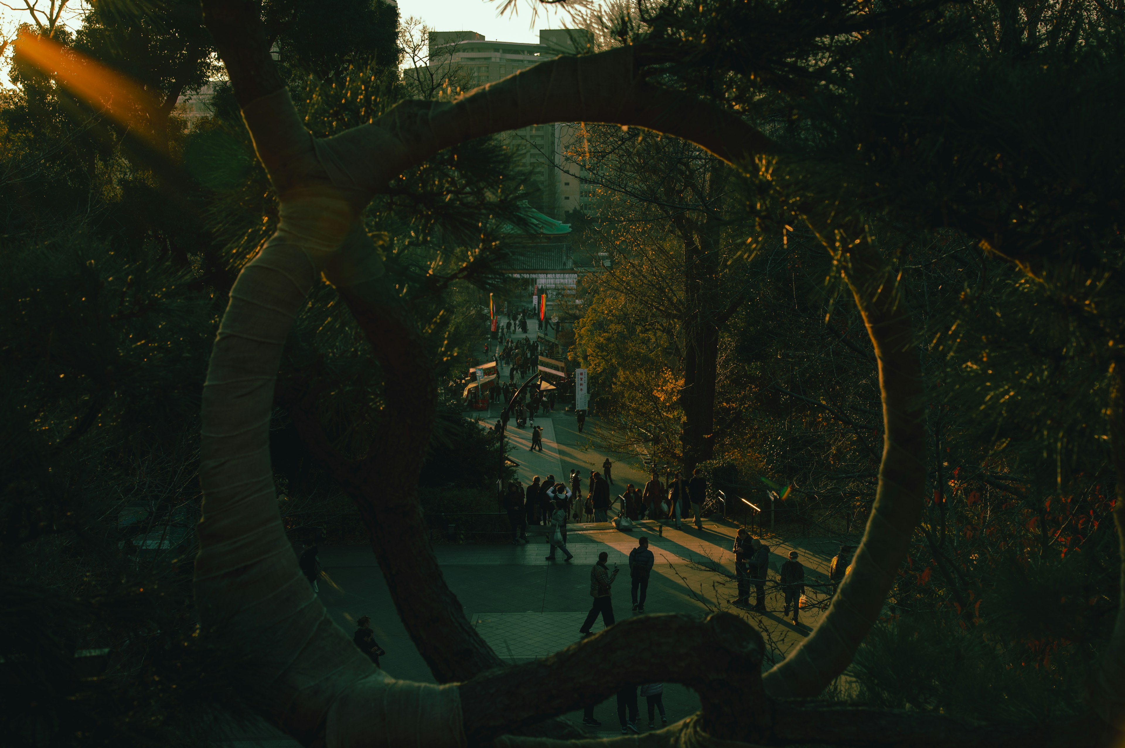 Large circular sculpture in a park with people walking in natural light