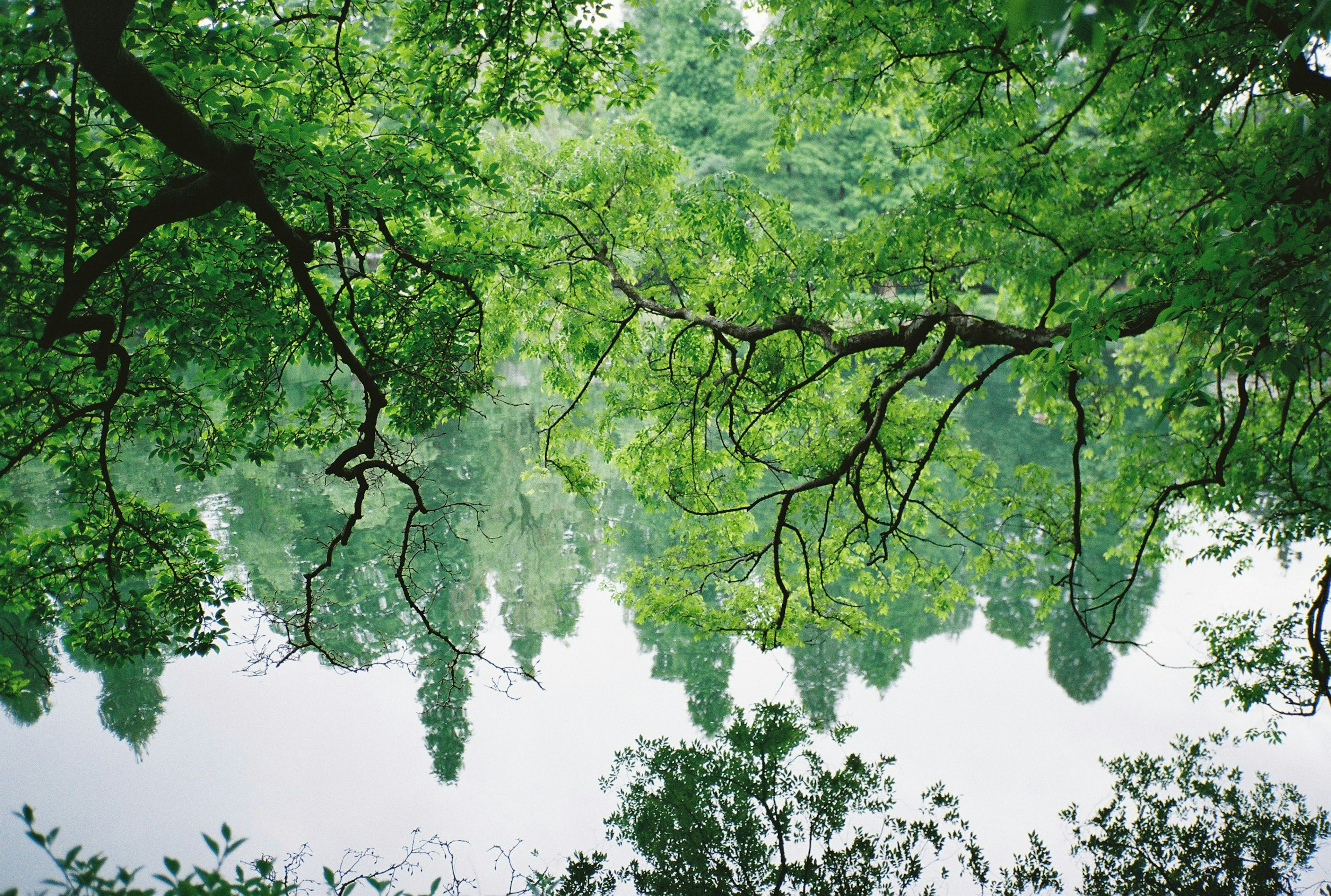 photo-lgUaGheX6BhY8AJ1f3ie-image