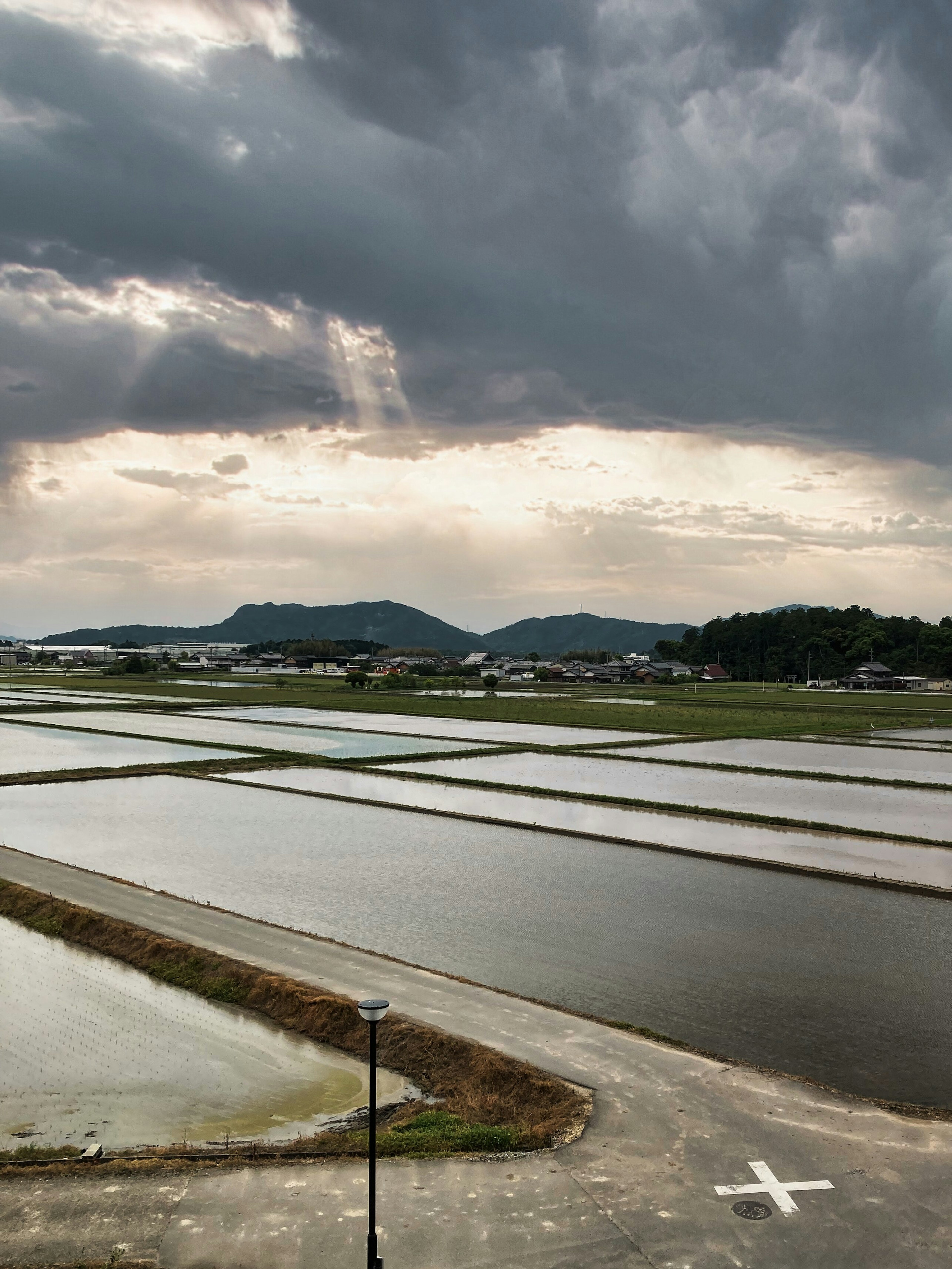 田んぼが広がる風景と雲のある空