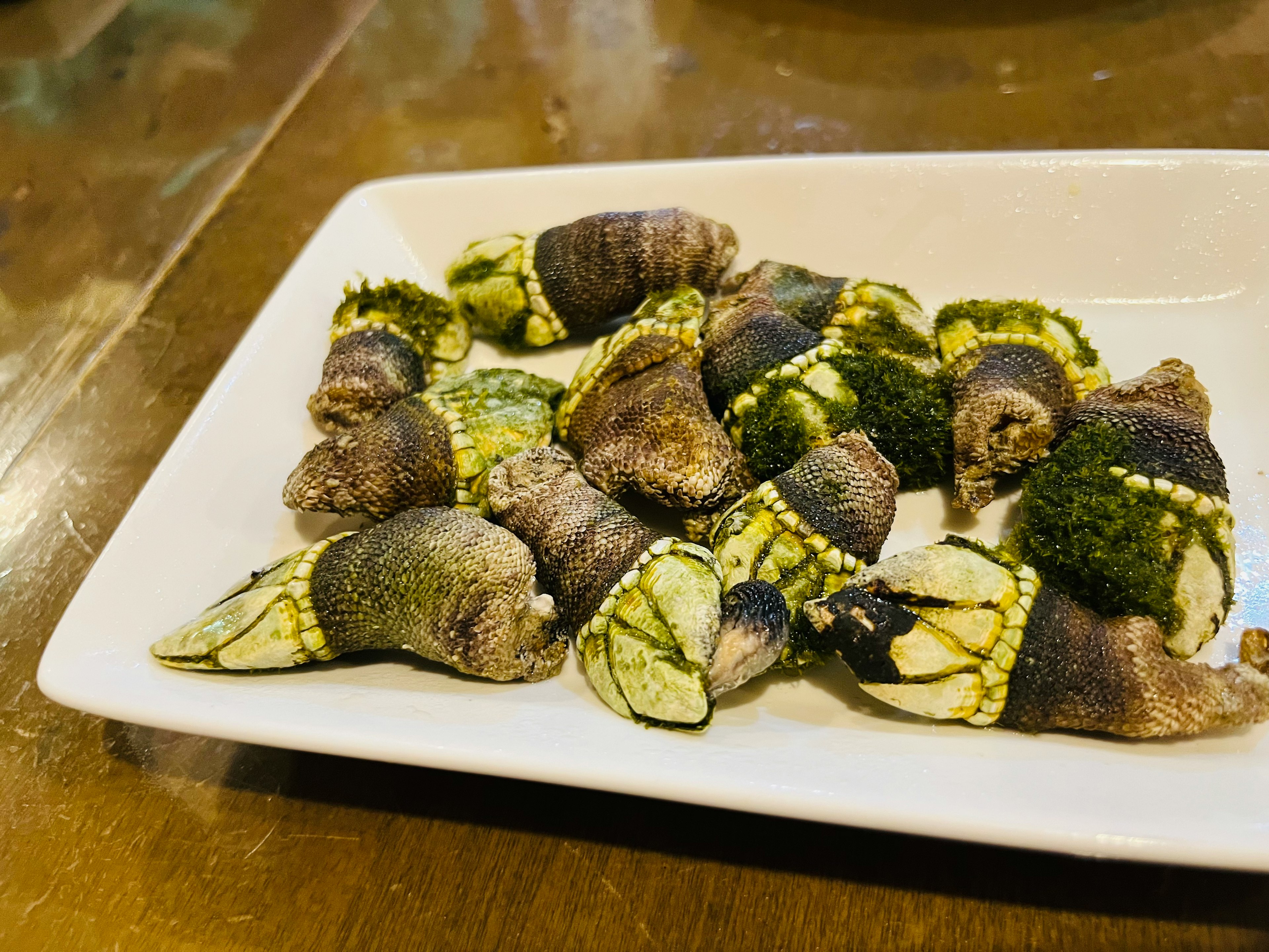 皿に盛られた新鮮な貝類の料理 濃い緑色の海藻が特徴