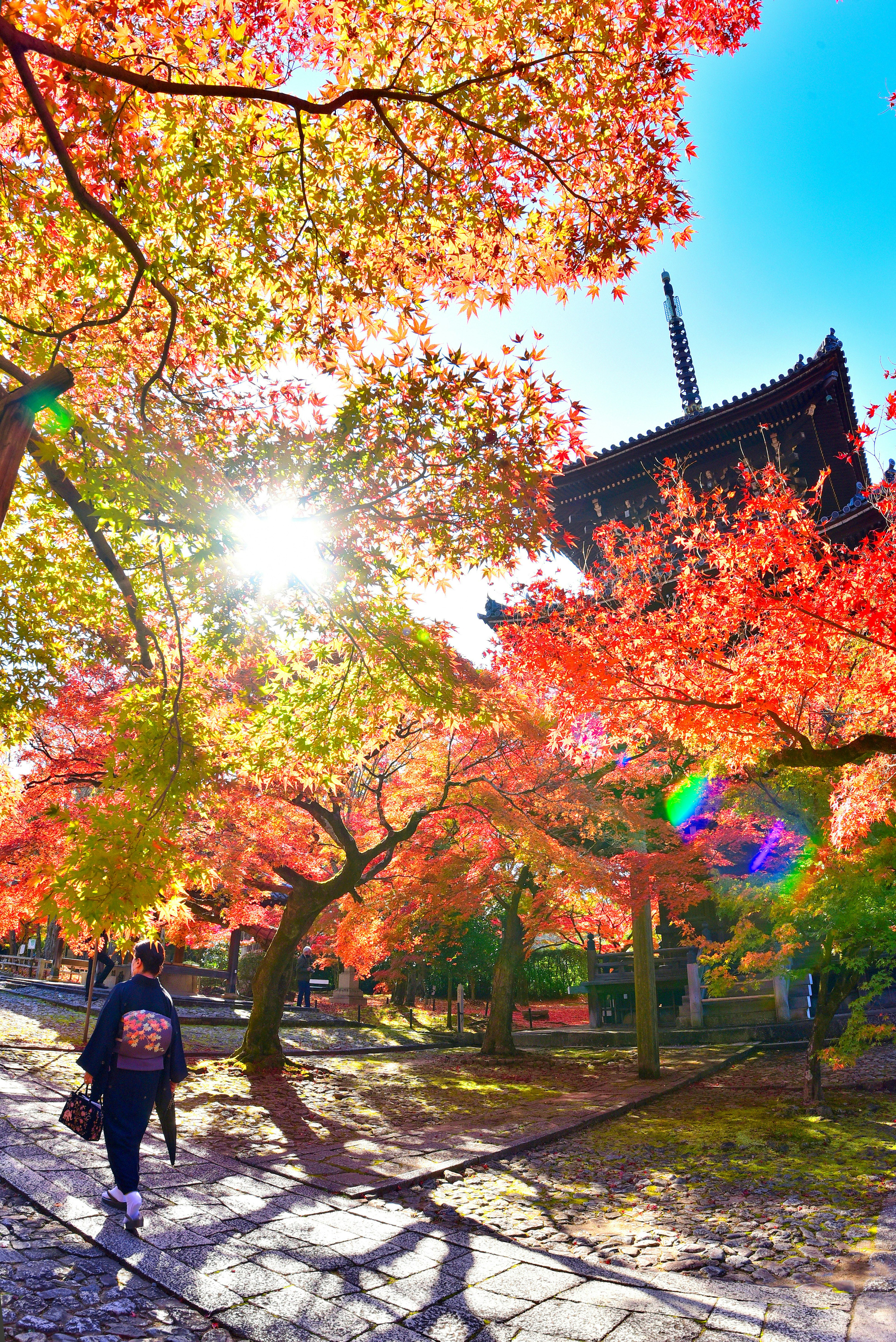 A person walking in a park surrounded by vibrant autumn leaves