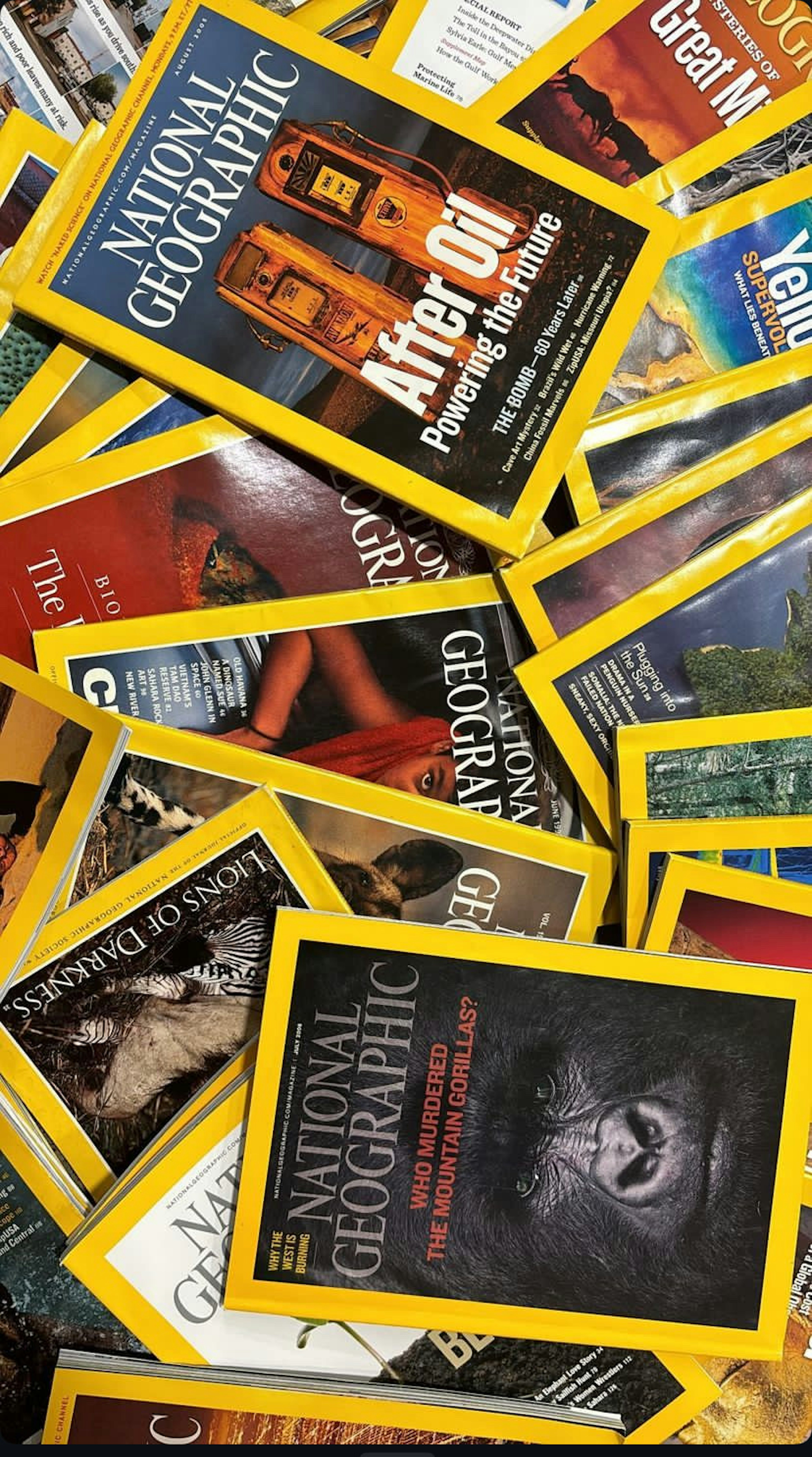 Eine Sammlung von National Geographic Magazin-Covern, die in einer bunten Anordnung verstreut sind