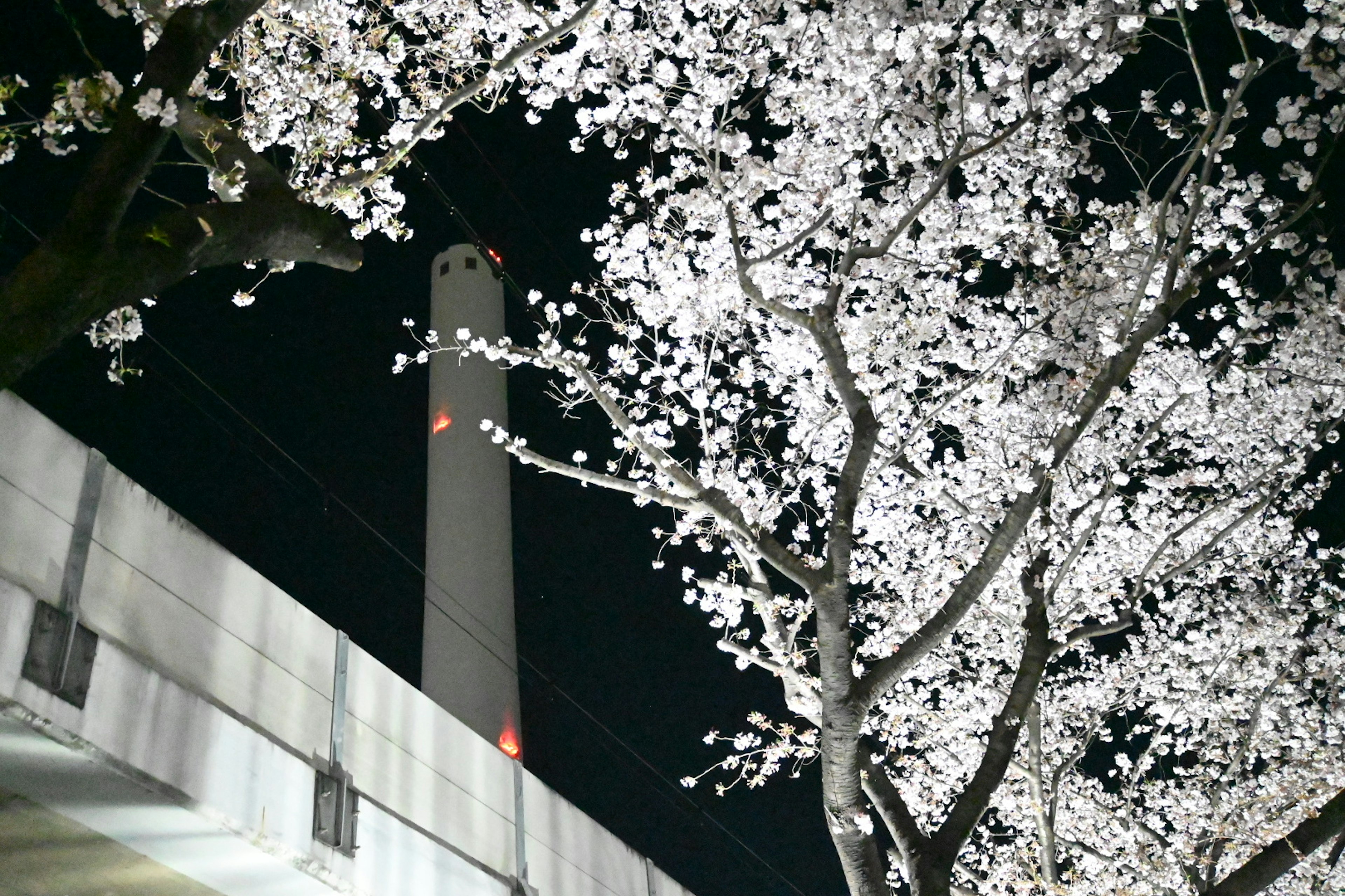 Escena nocturna de árboles de cerezo y una chimenea flores blancas