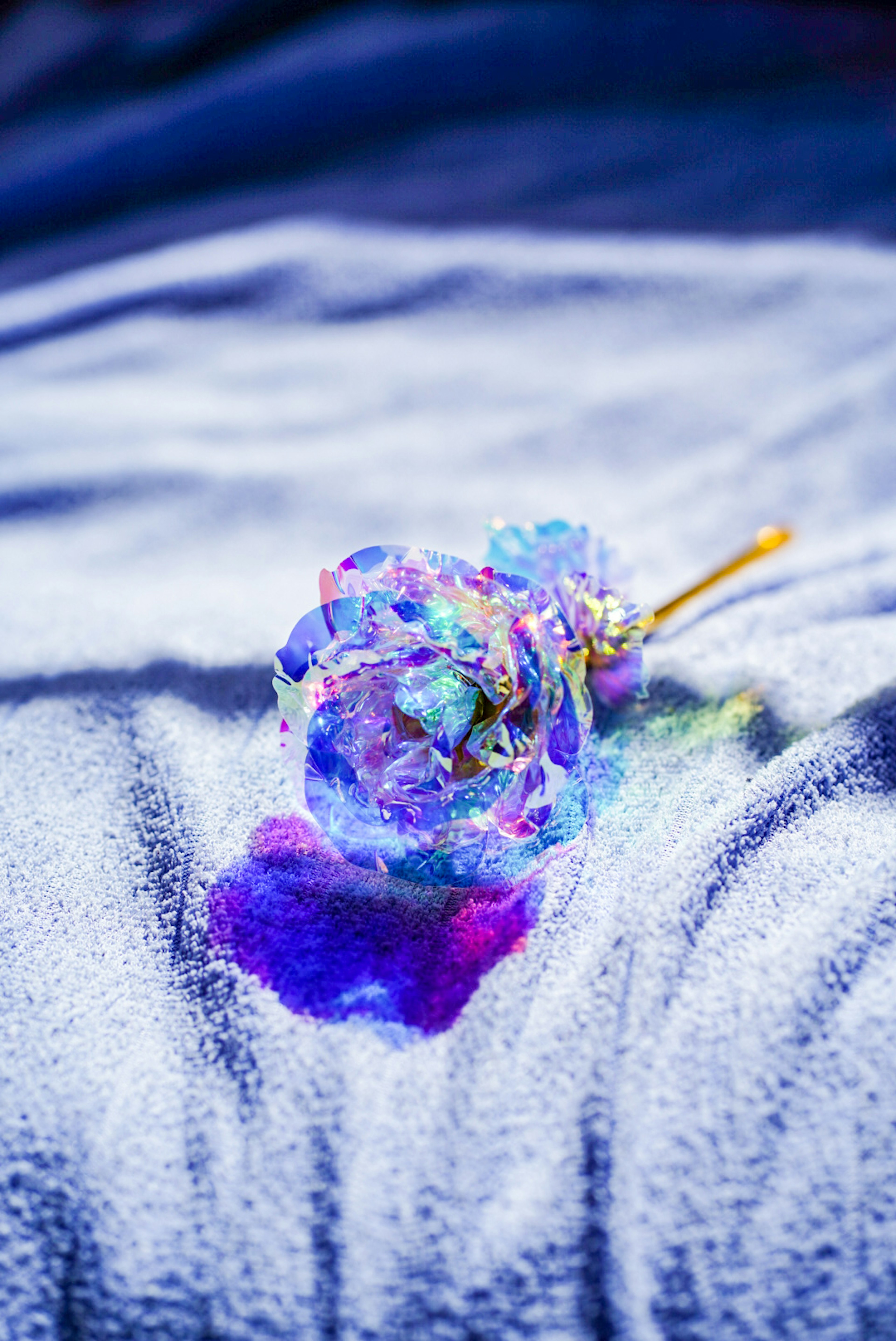 A blue and purple flower resting on fabric