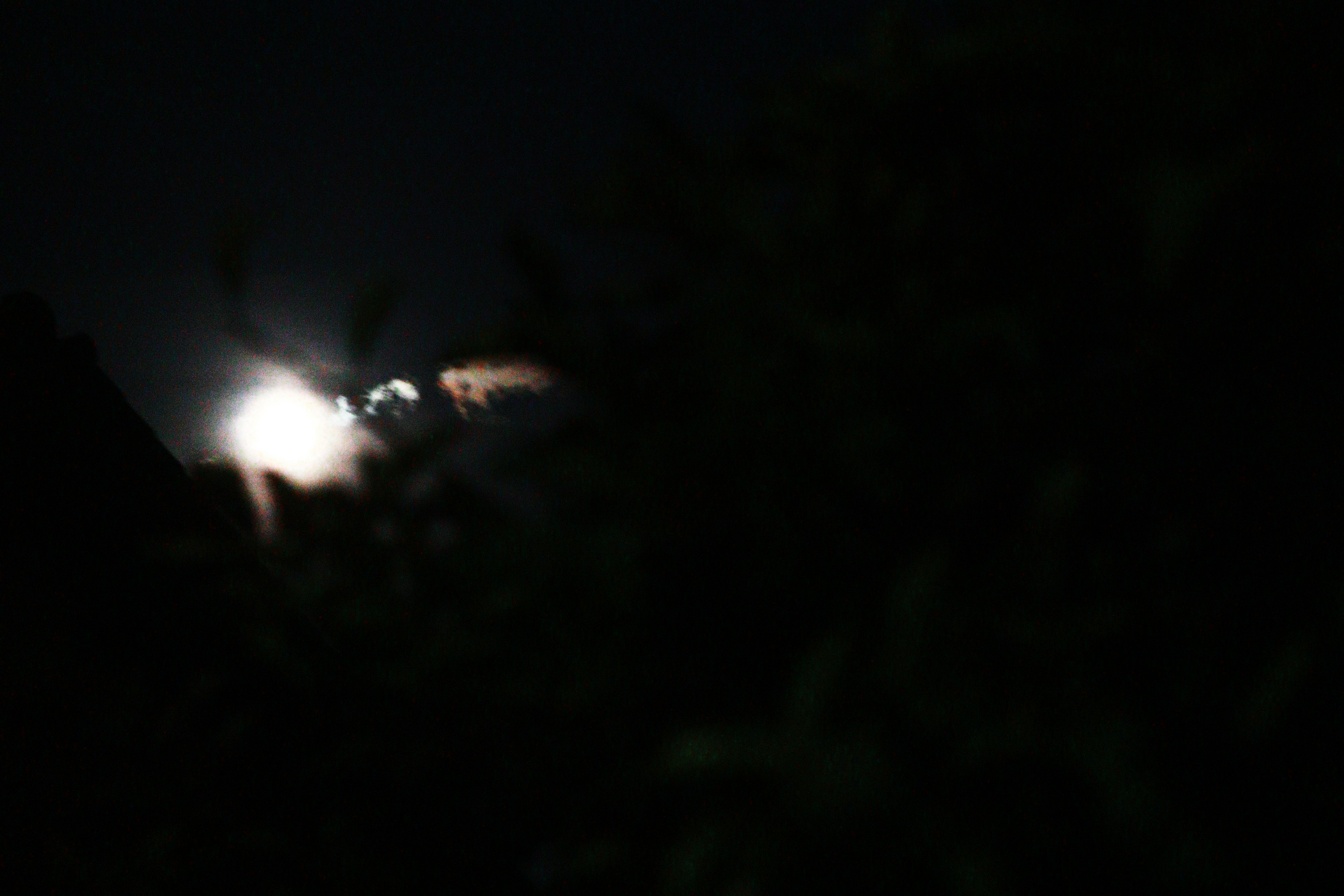 Dark landscape with trees surrounding a light source in the night sky