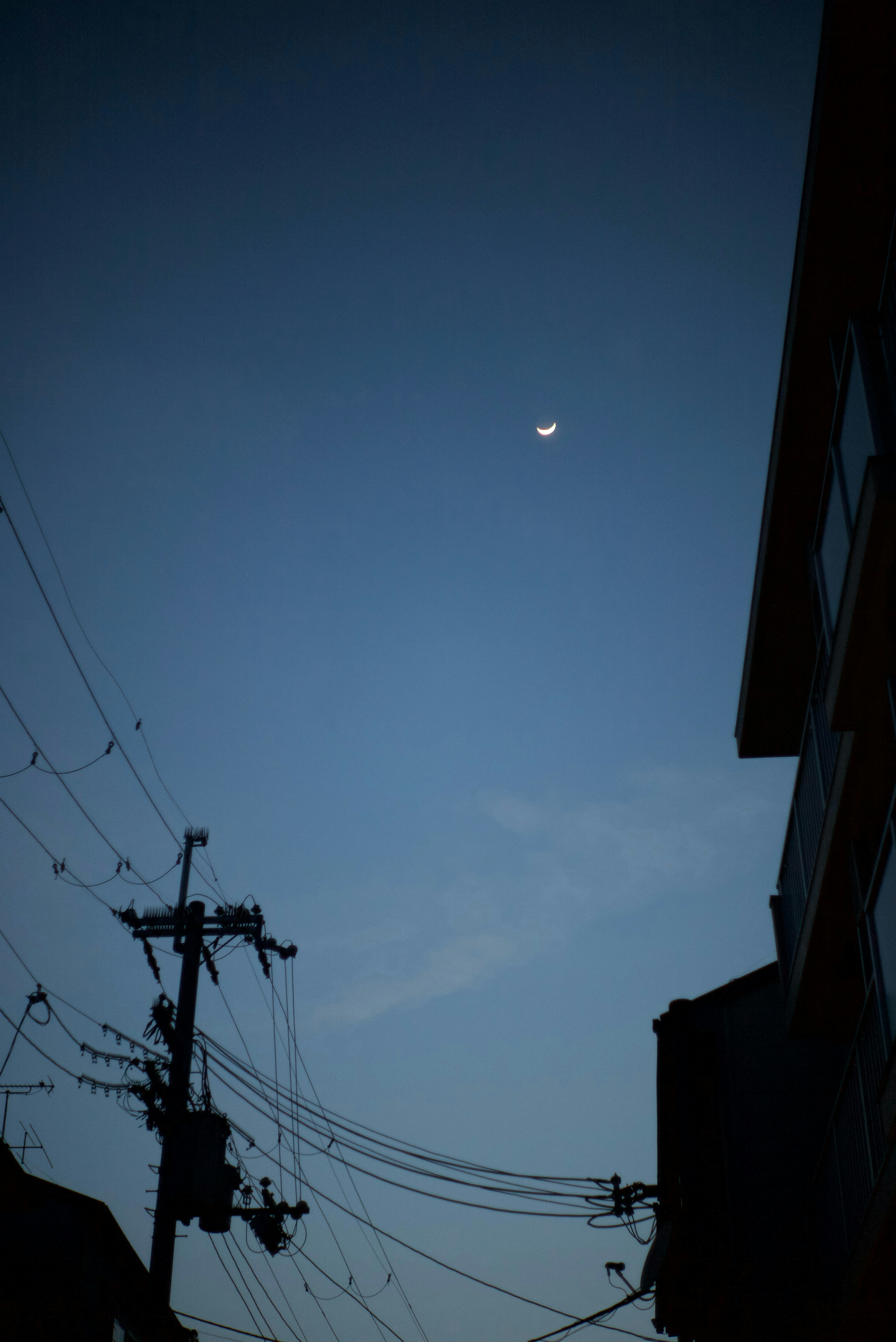 Una luna crescente in un cielo crepuscolare con linee elettriche e edifici