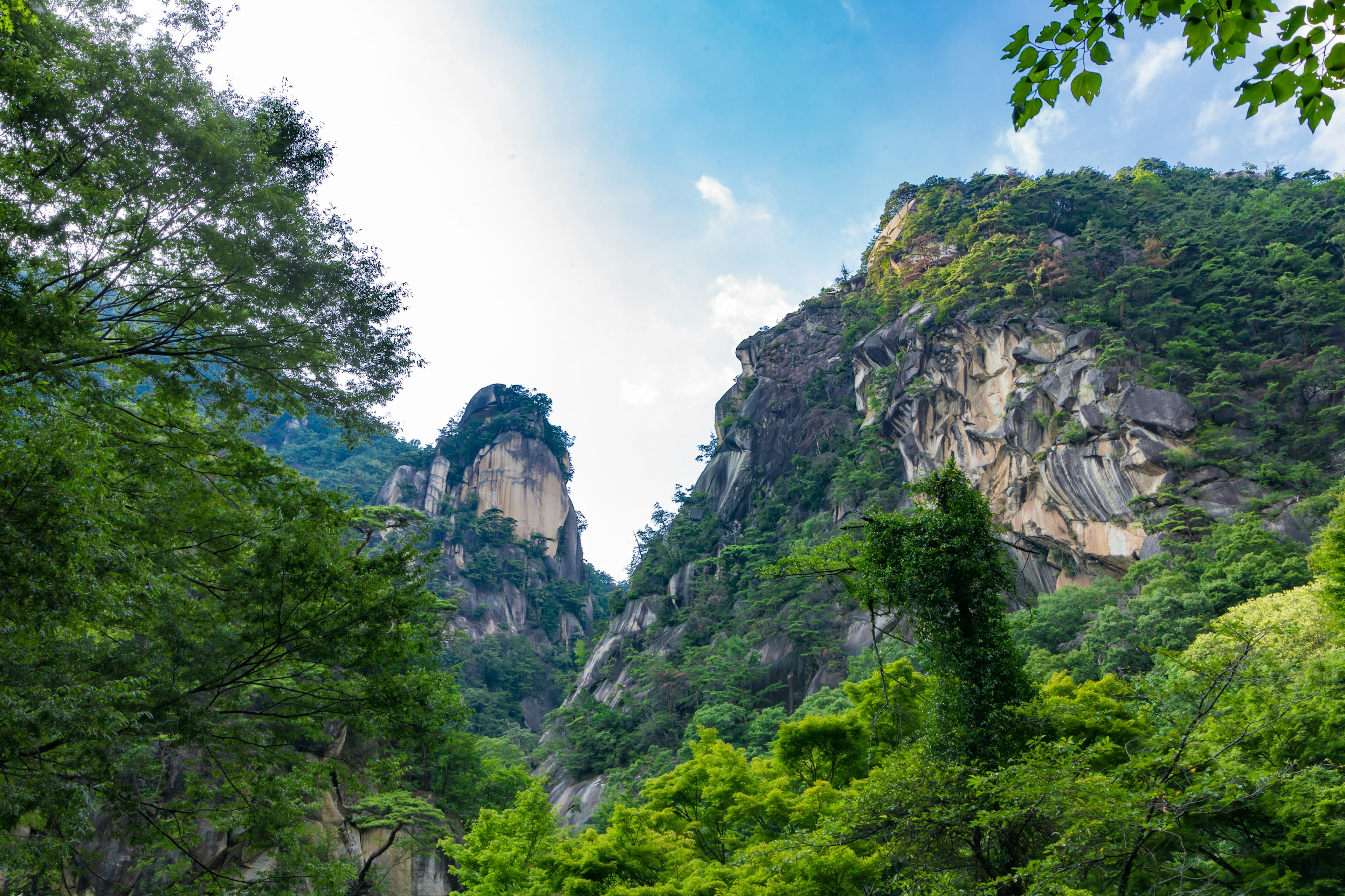 Scenic view of lush green mountains under a blue sky