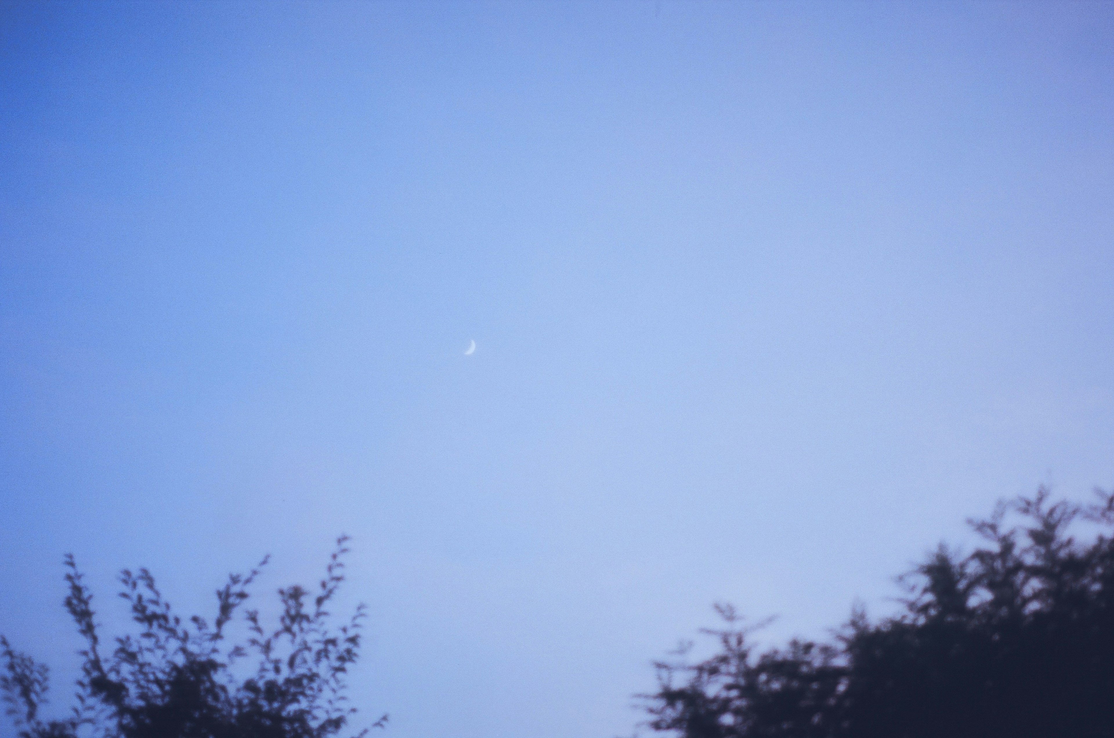 A small moon visible in a blue sky with silhouettes of trees