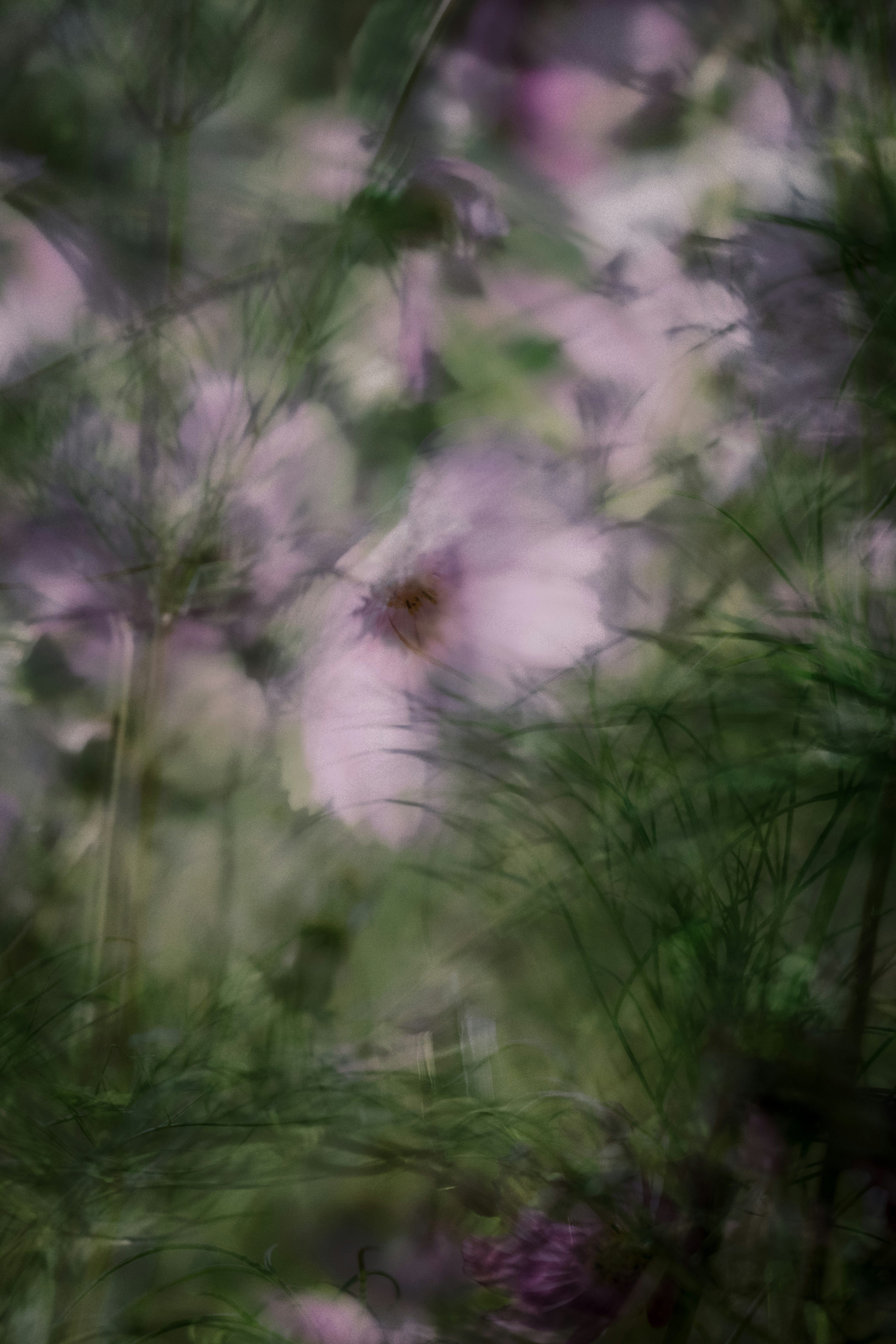 ぼやけた花と緑の葉が映る柔らかい風景