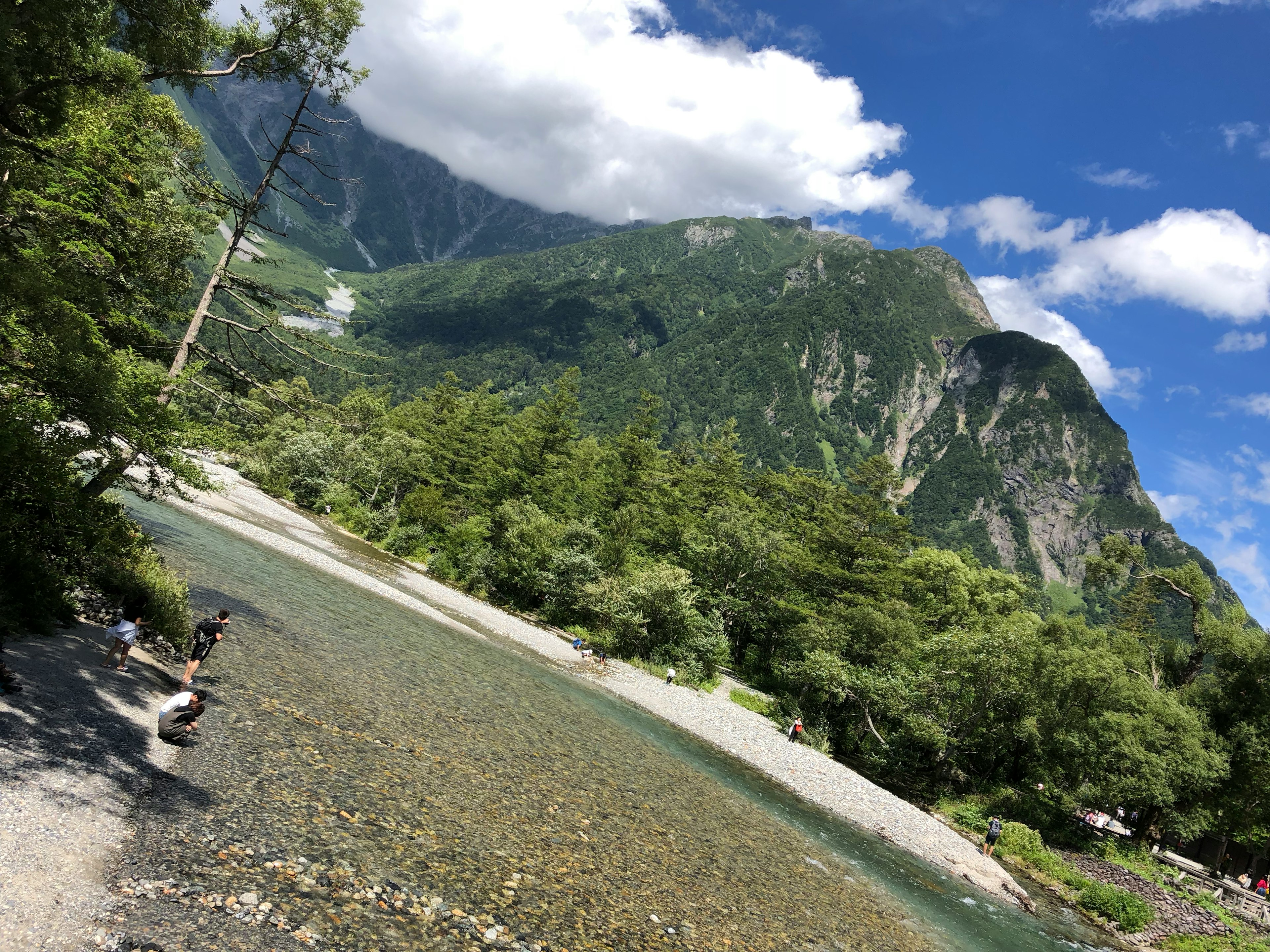 緑豊かな山と静かな川の風景