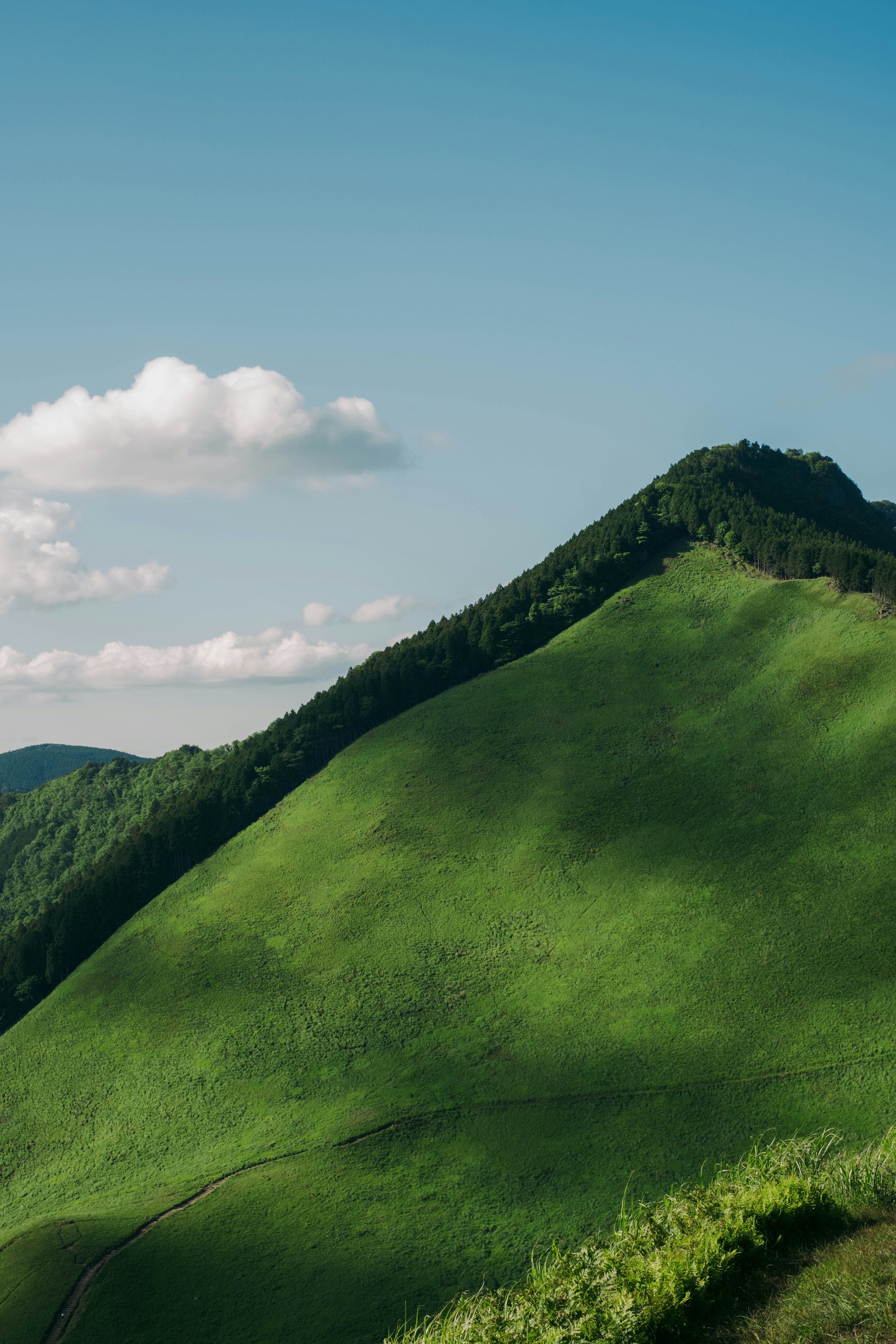 緑の丘と青空の風景　穏やかな雲が浮かんでいる