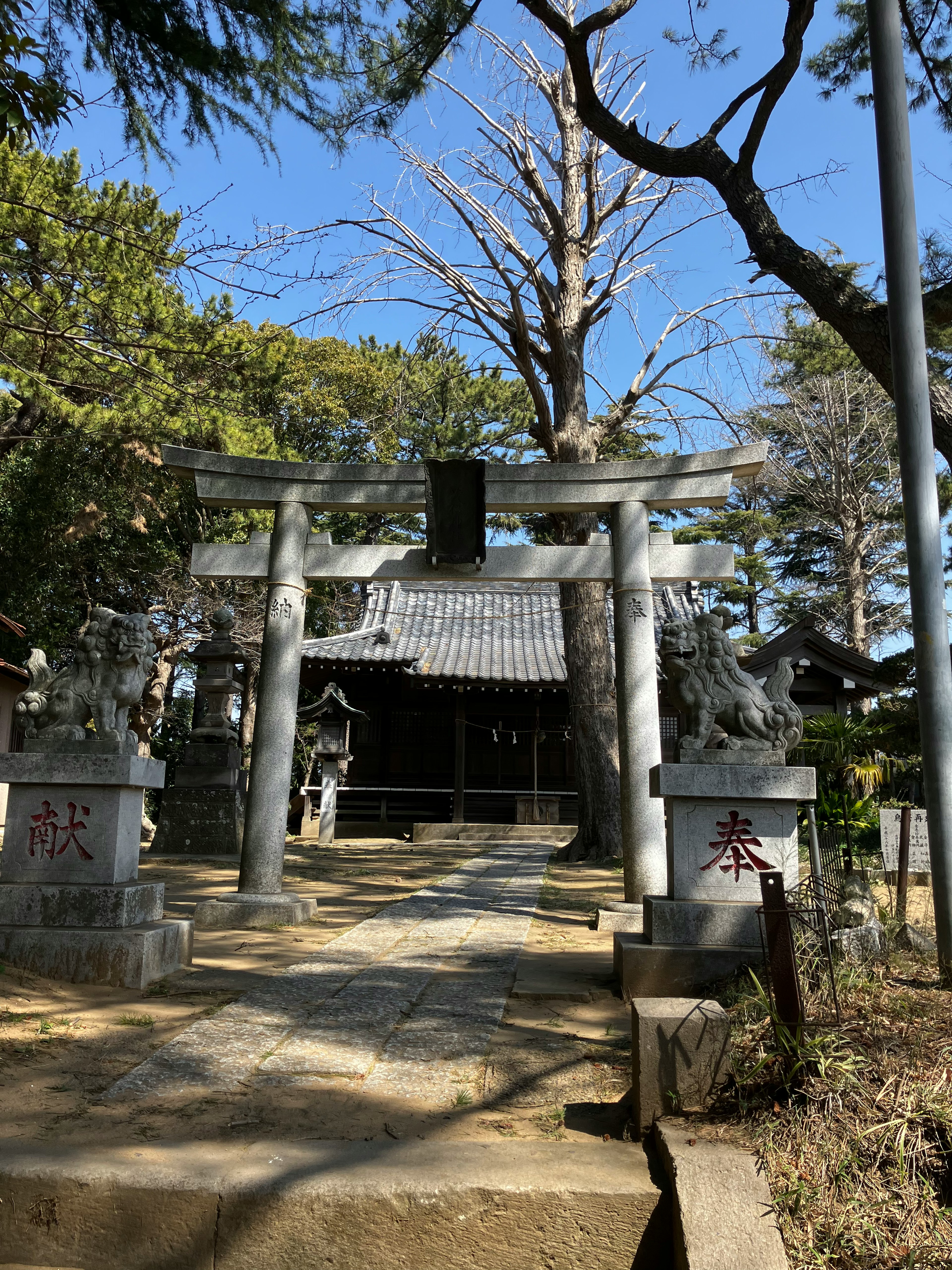 神社の鳥居と境内の風景 青空と緑の木々に囲まれた静かな場所