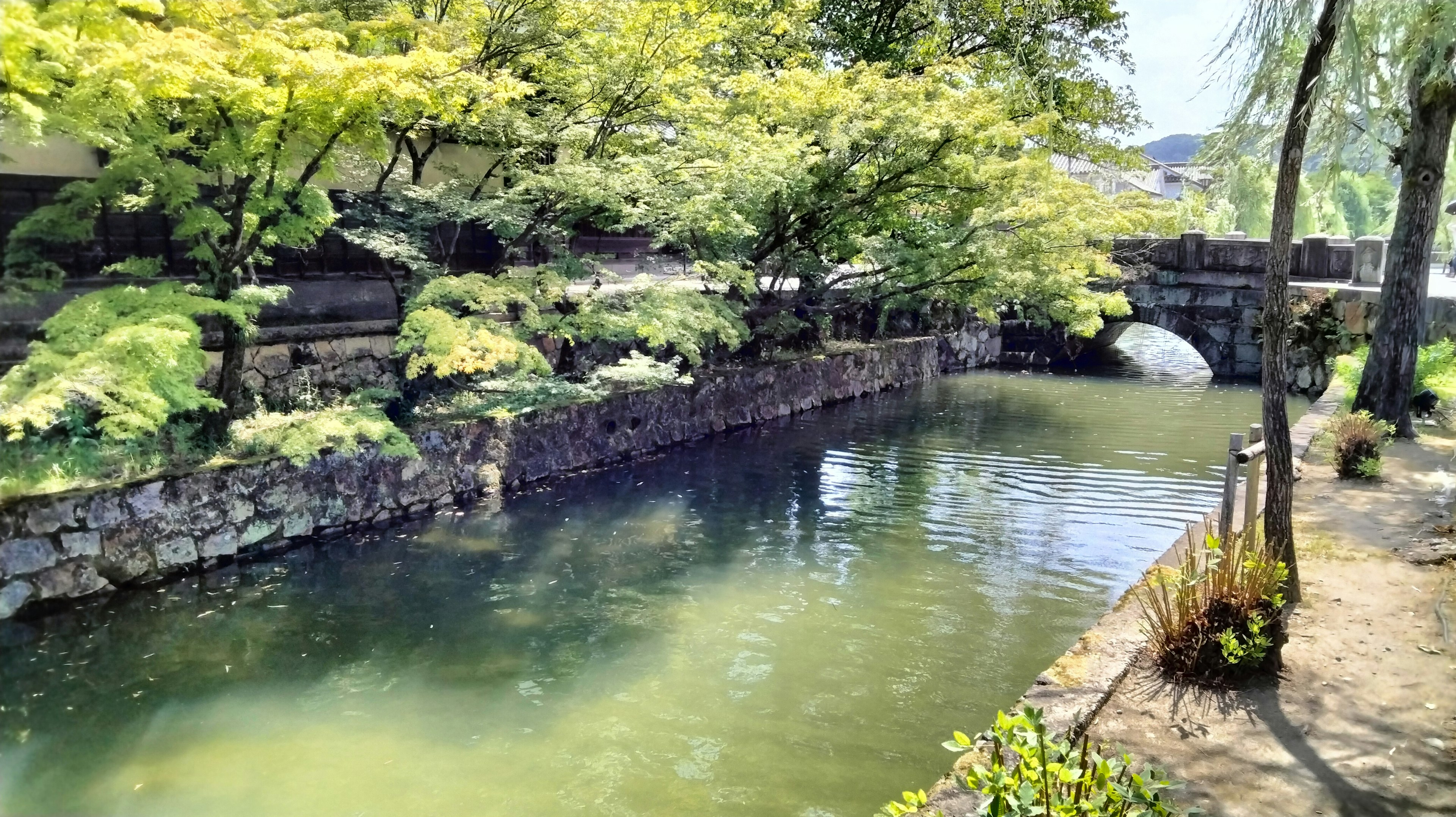 Scène de rivière sereine entourée de verdure luxuriante avec un pont en pierre