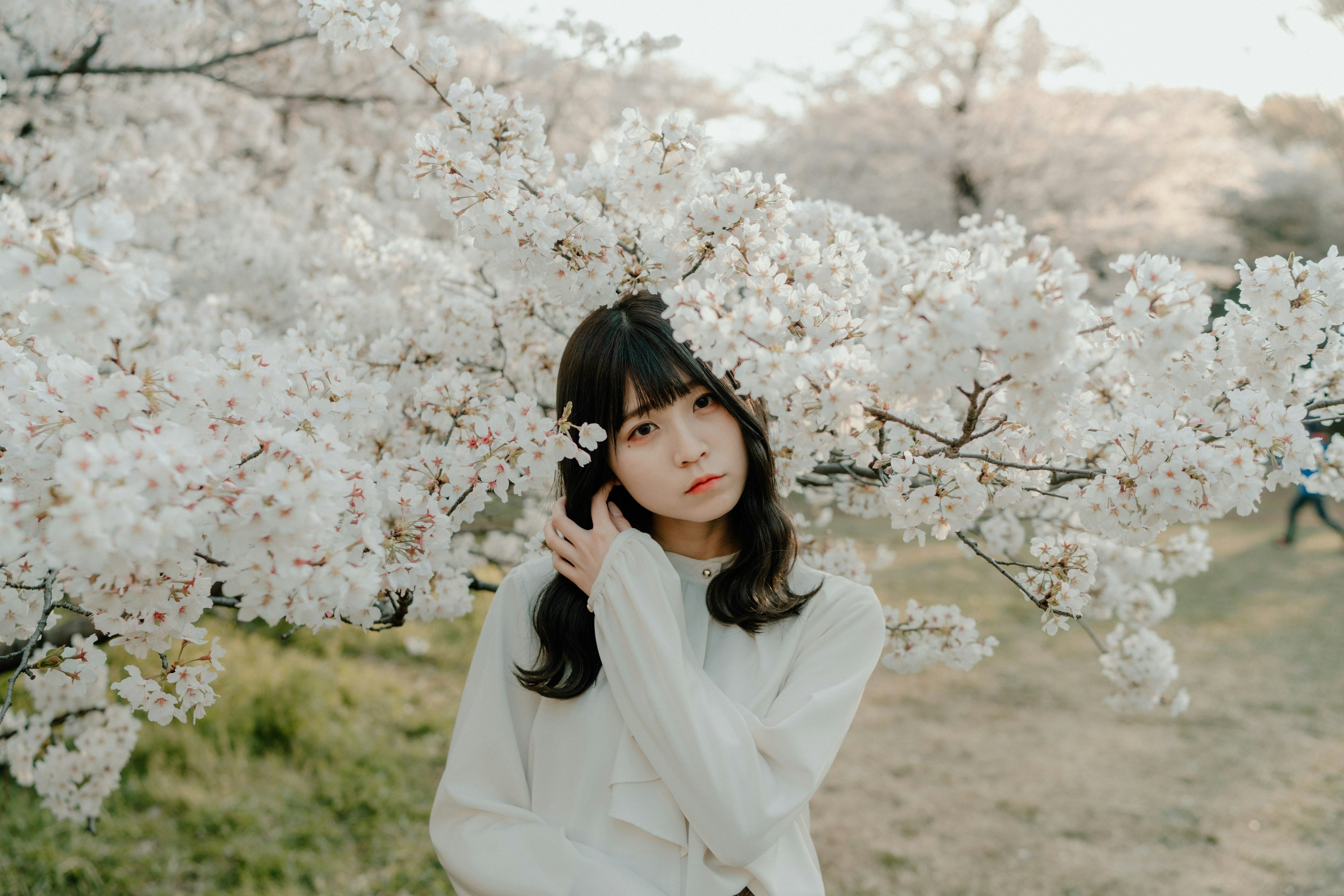 Portrait d'une femme parmi des cerisiers en fleurs portant une tenue blanche