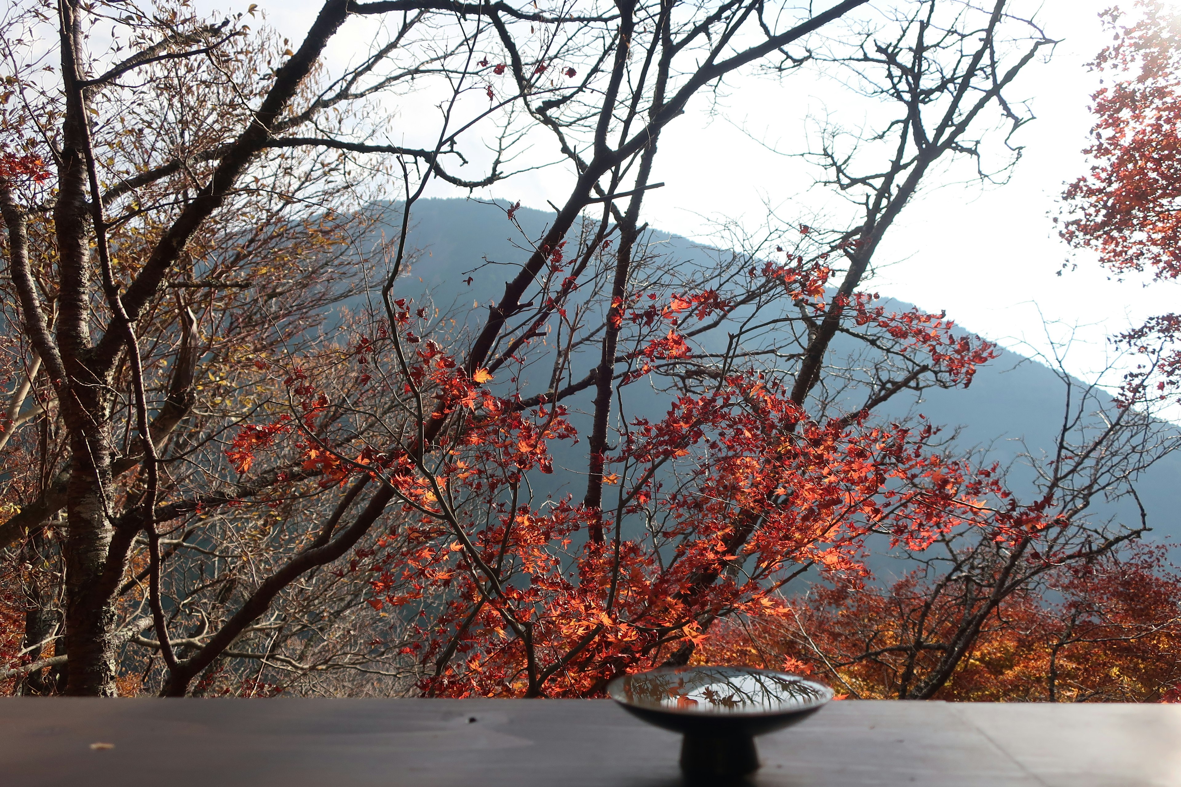 Paisaje de otoño con hojas coloridas y vista de montaña a través de los árboles