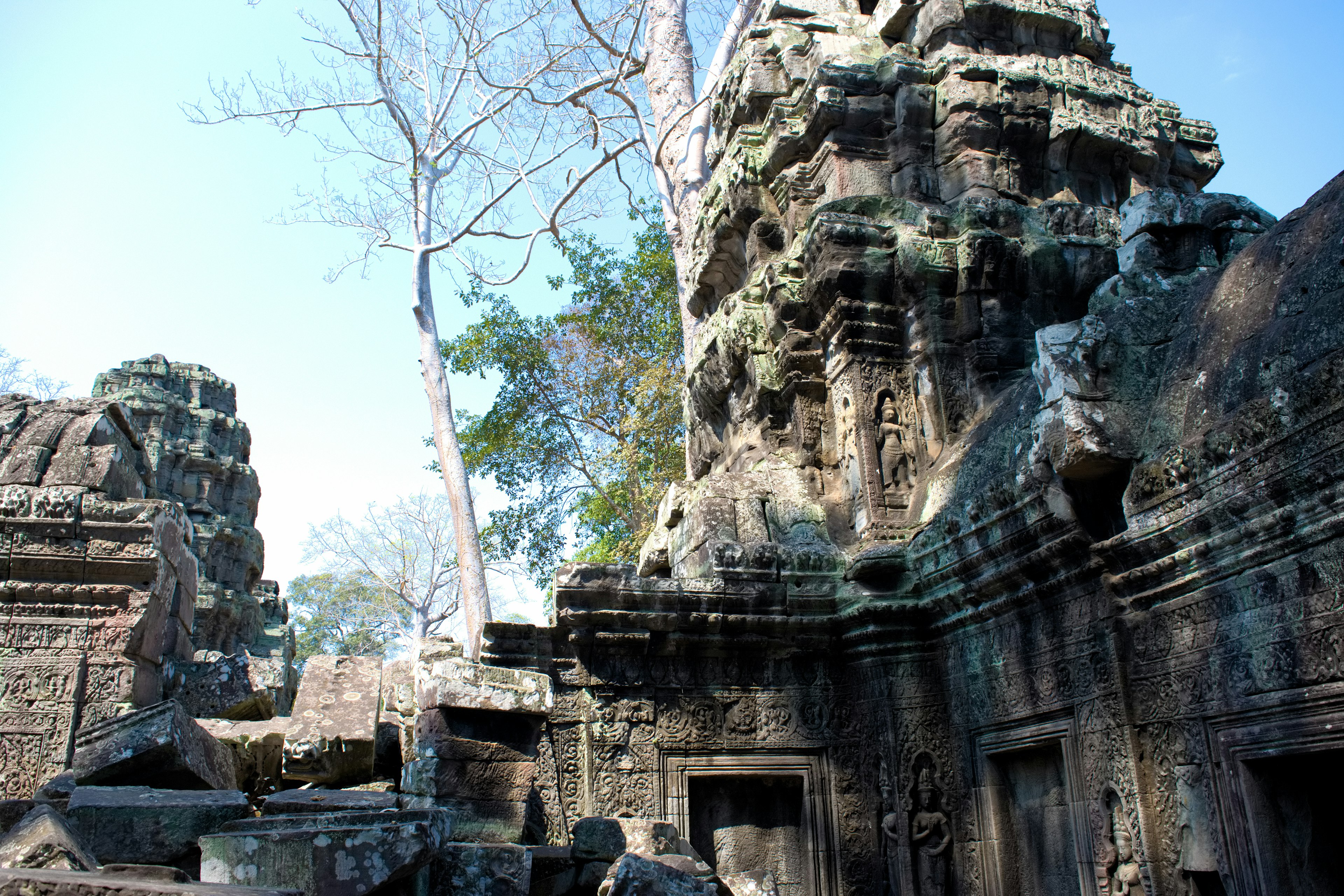 Ancient ruins with weathered stone carvings and surrounding trees