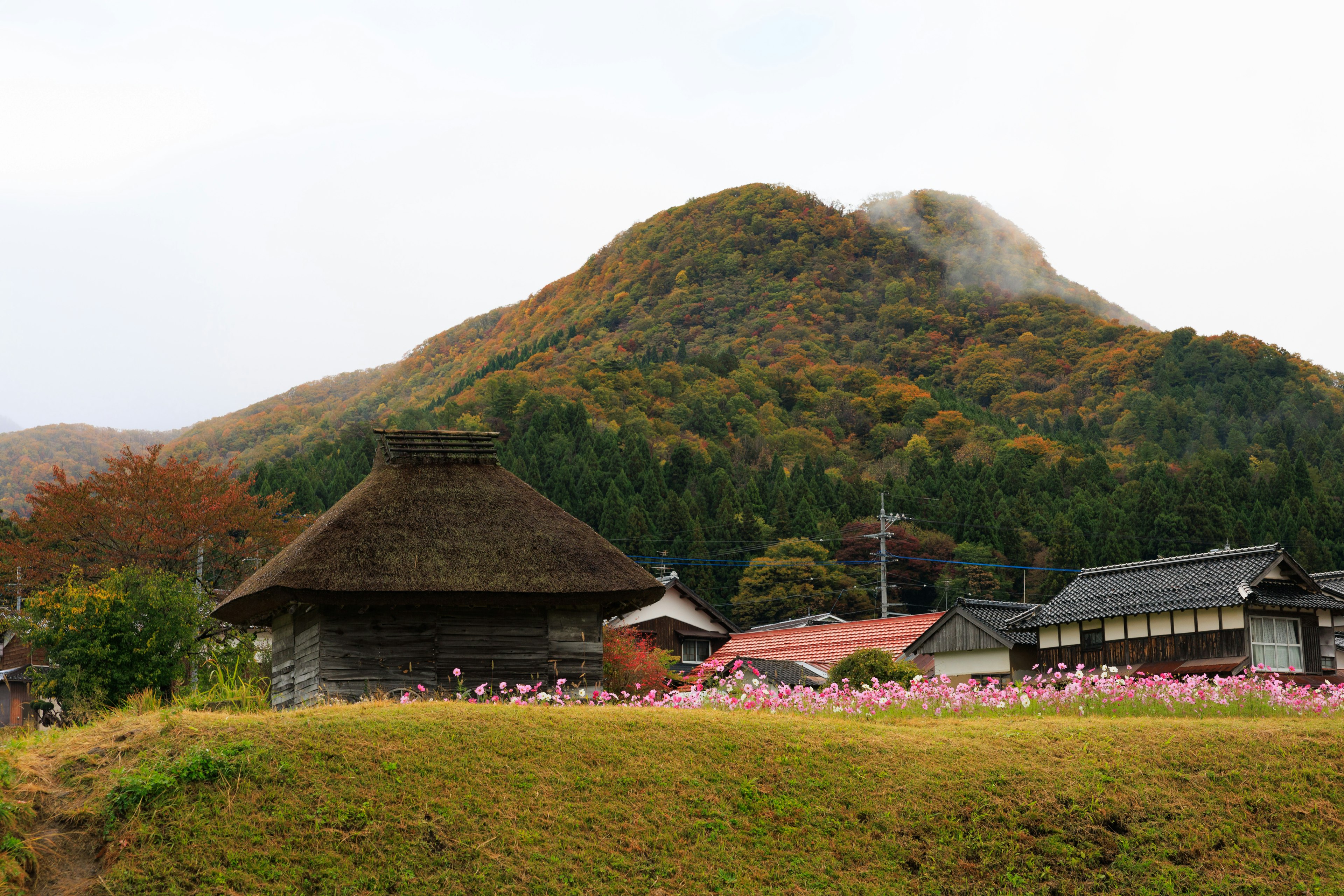 Pemandangan pegunungan musim gugur dan rumah tradisional Jepang