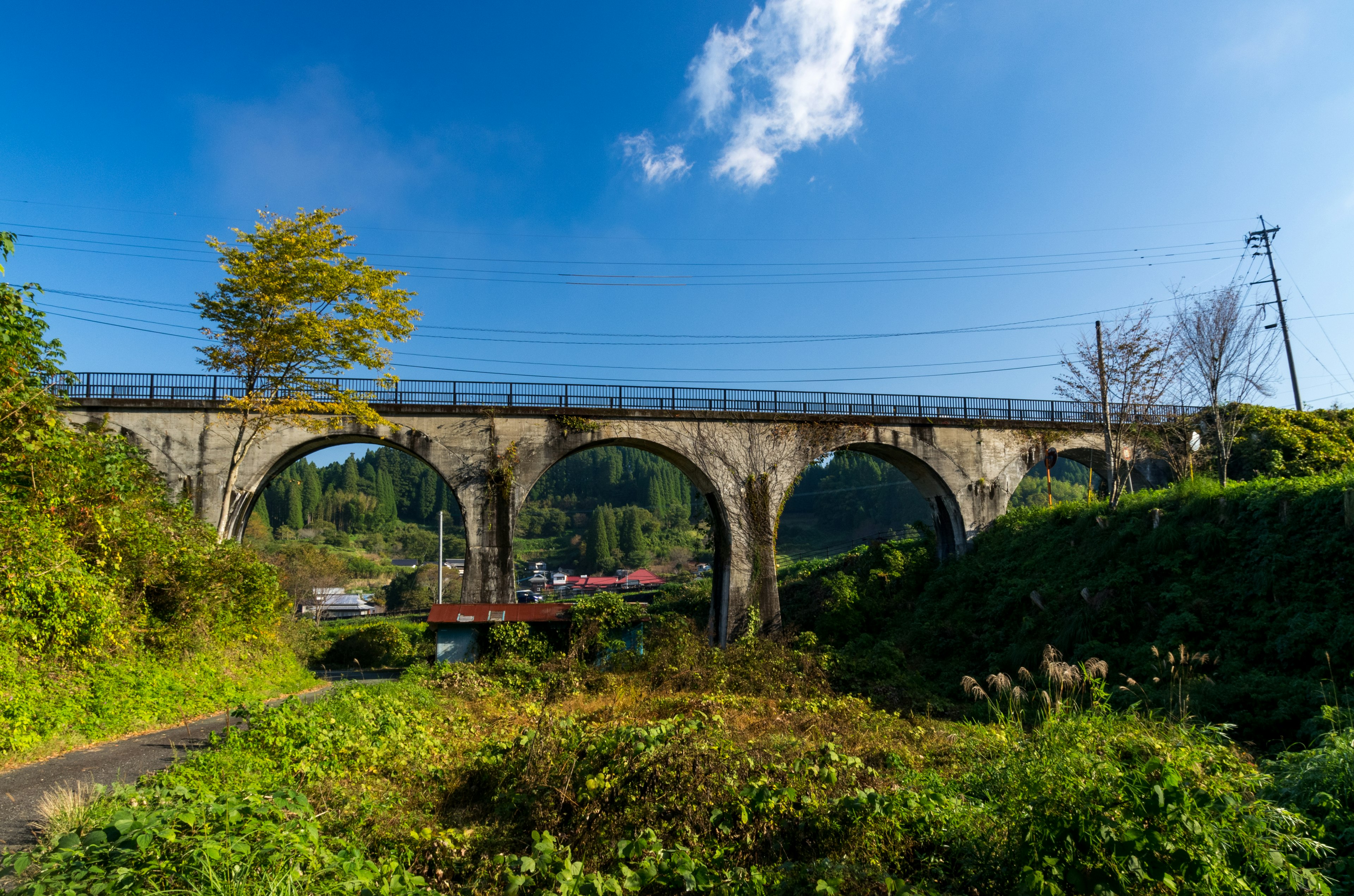 Antico ponte ad arco in pietra sotto un cielo blu circondato da una vegetazione lussureggiante