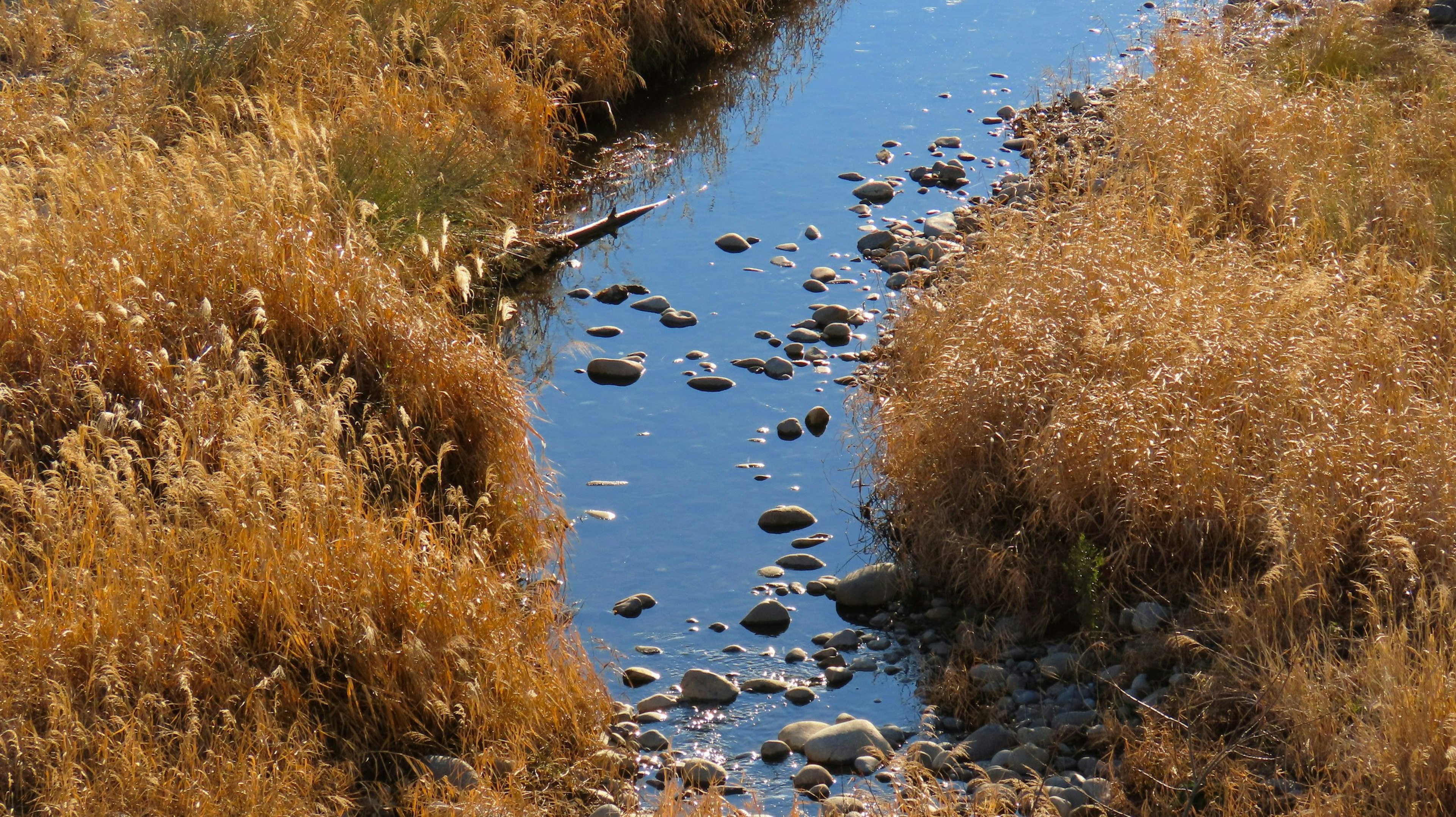 Un ruisseau étroit avec de l'eau bleue entouré d'herbe dorée sèche