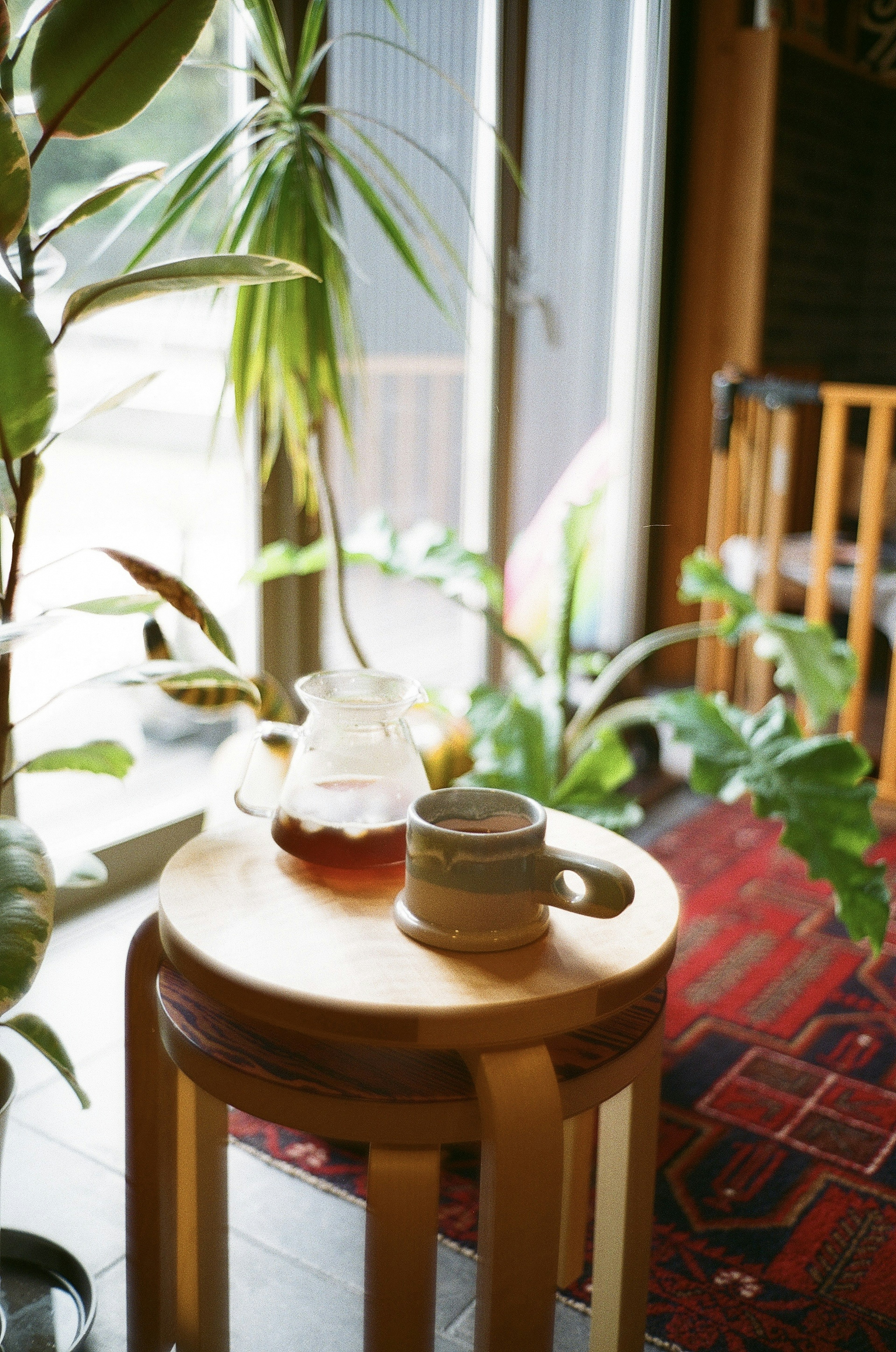 Taburete de madera con taza de té y tetera Luz natural que entra por la ventana Entorno interior rodeado de plantas