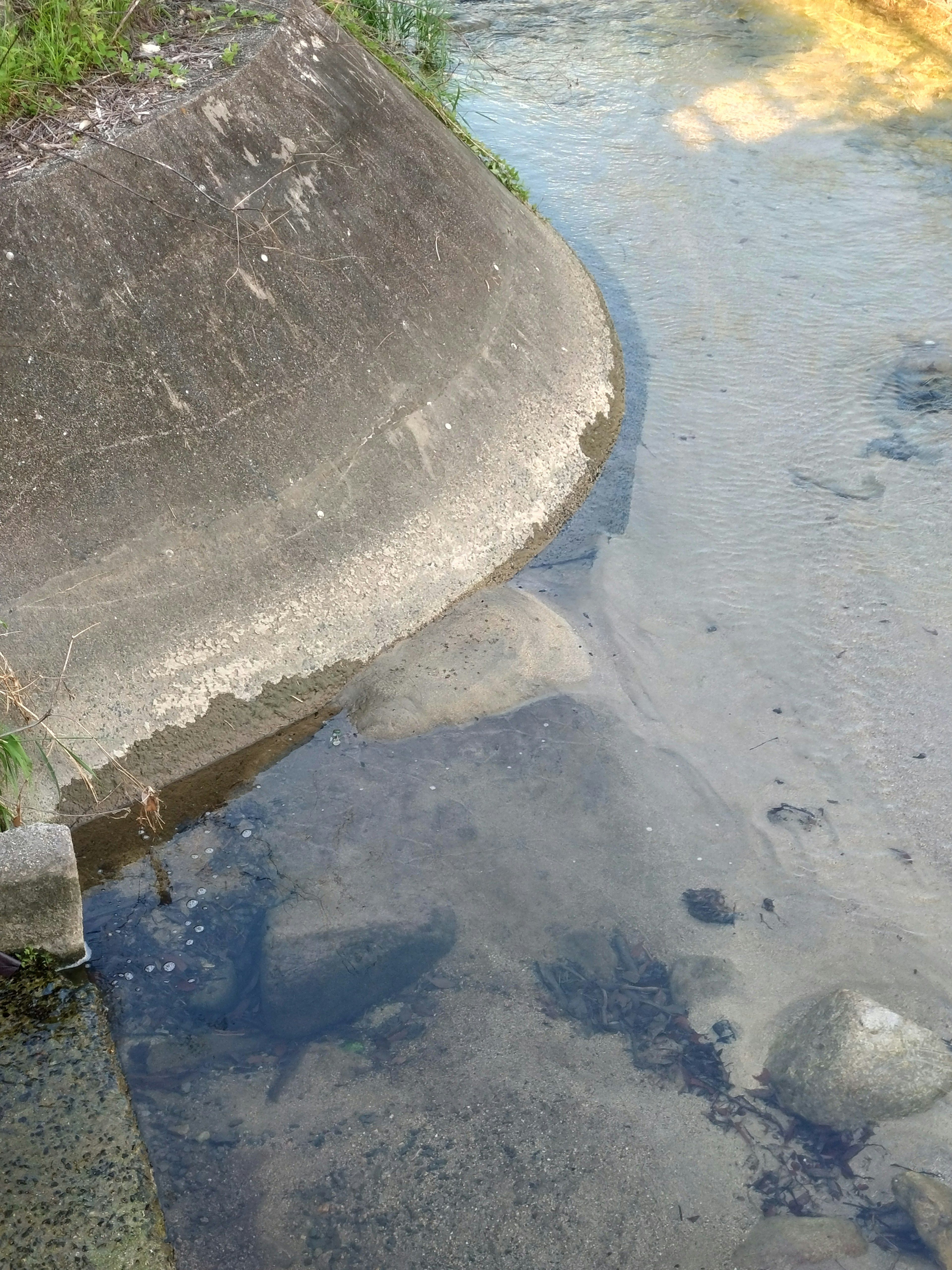 Paesaggio con una struttura in cemento e pietre visibili nell'acqua