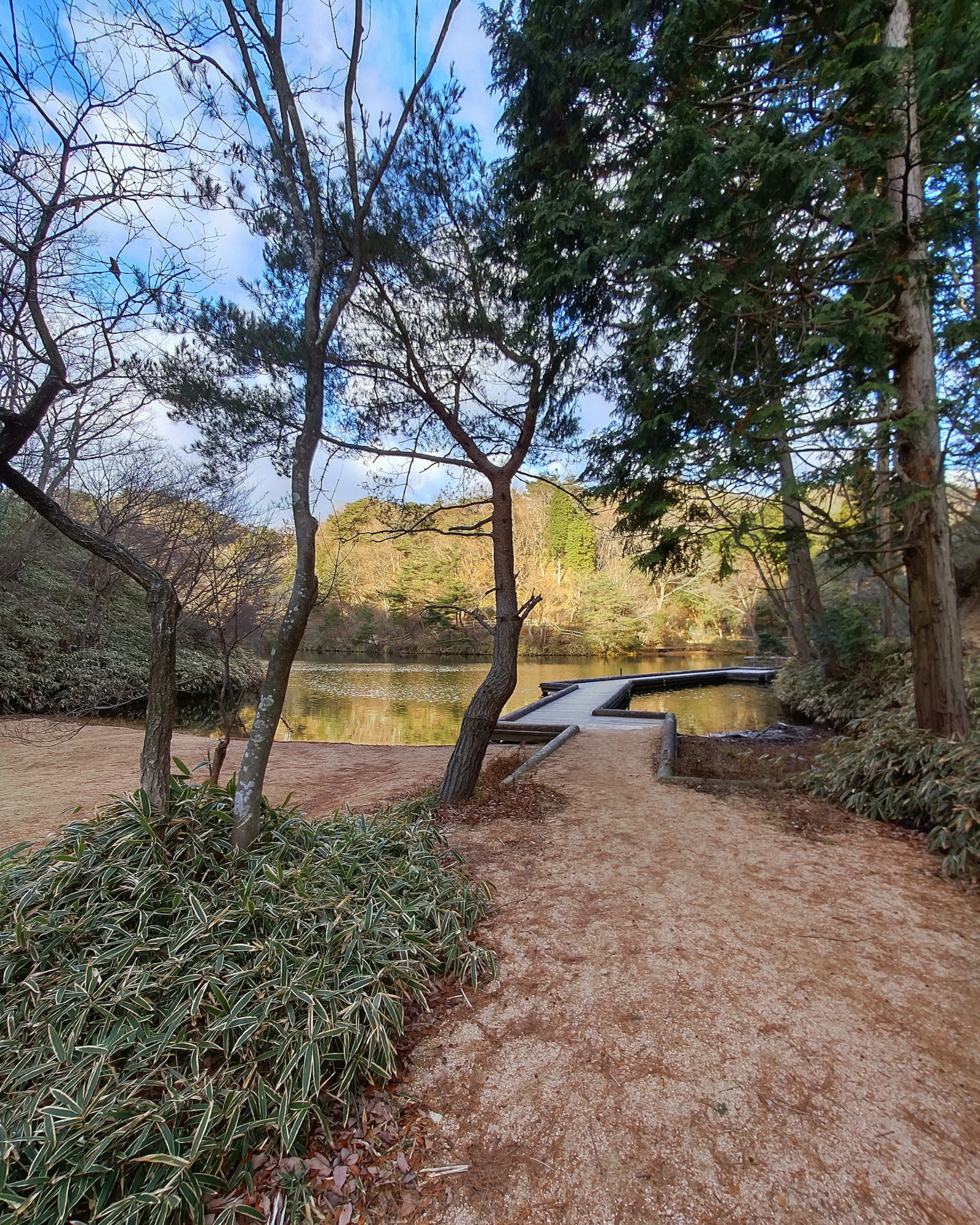 Sentiero vicino a un lago tranquillo circondato da alberi