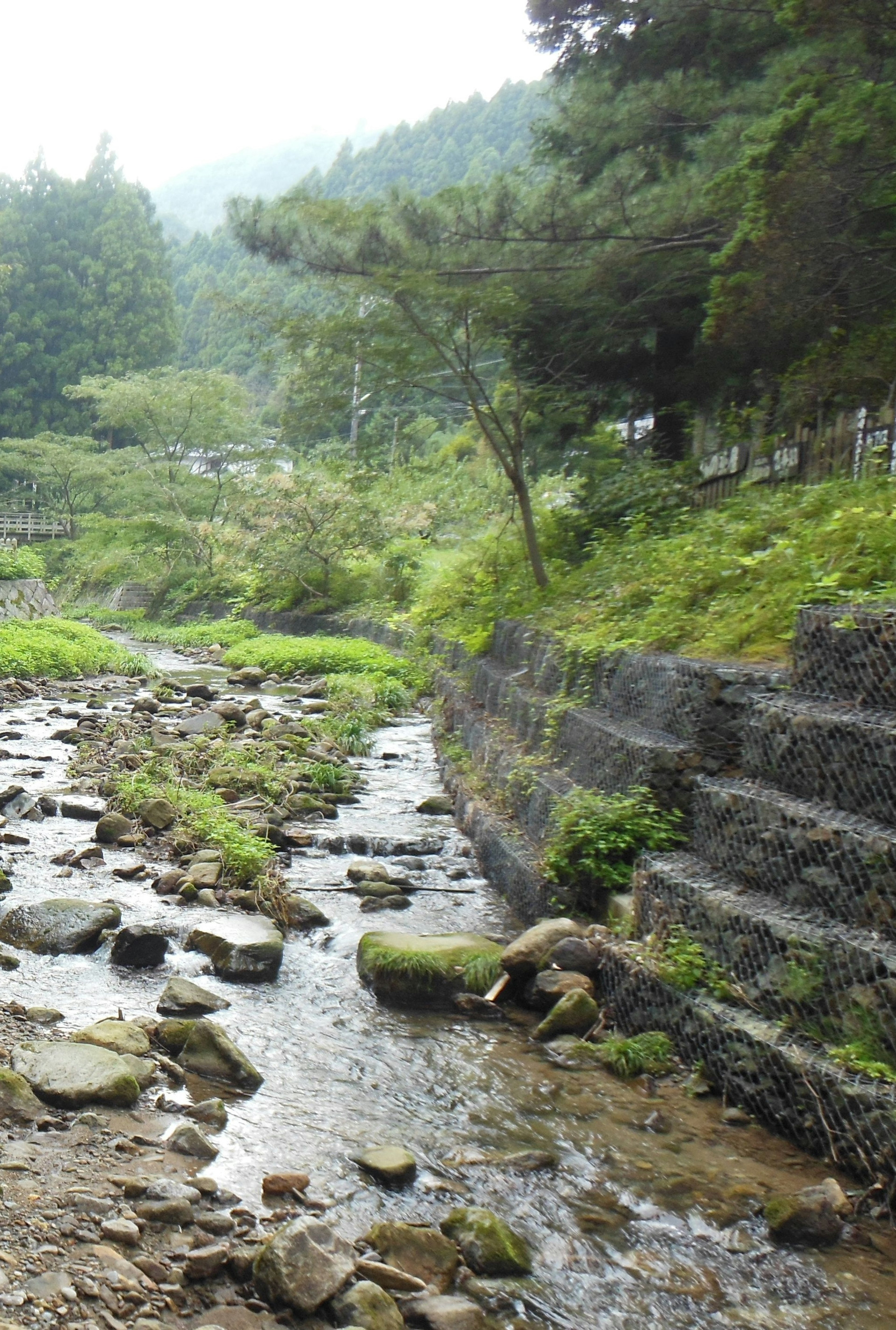 静かな小川が流れ周囲は緑豊かな木々に囲まれている