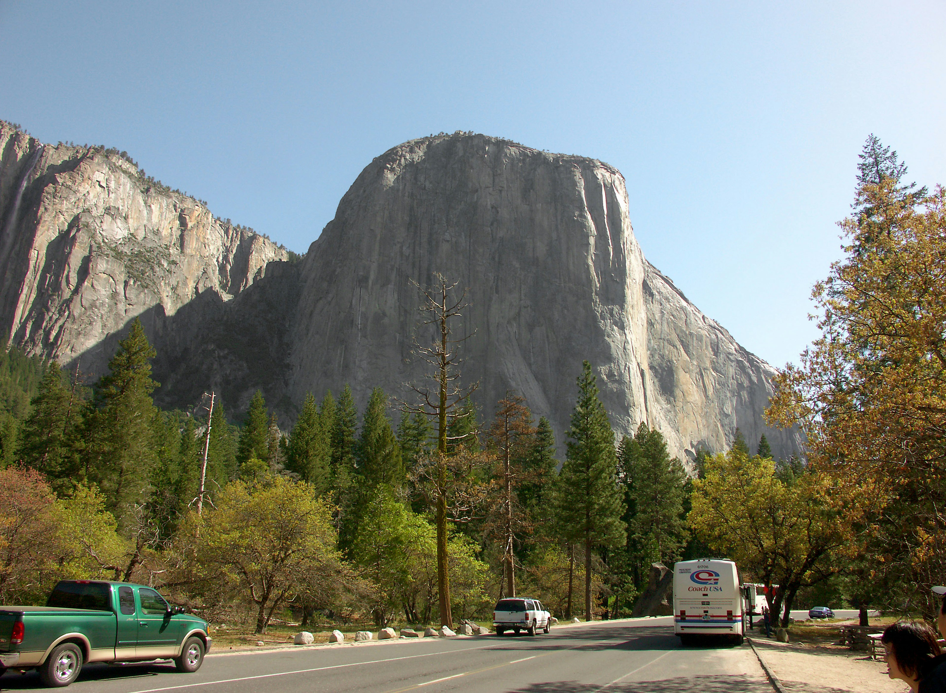 Scenic view of a towering mountain with pine trees lining the road