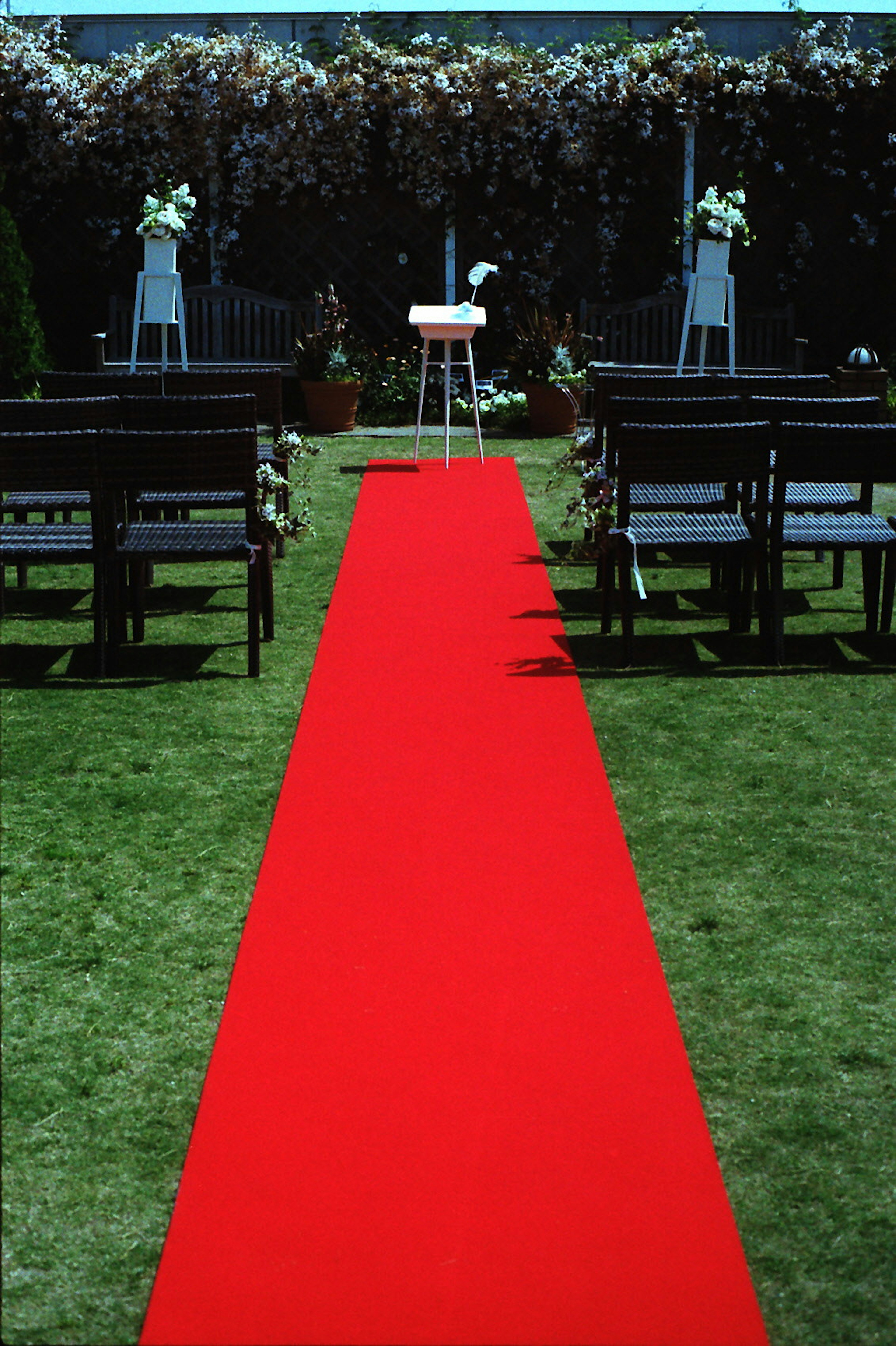 Roter Teppich für eine Hochzeit im Freien mit ordentlich angeordneten Stühlen und floralen Dekorationen im Hintergrund