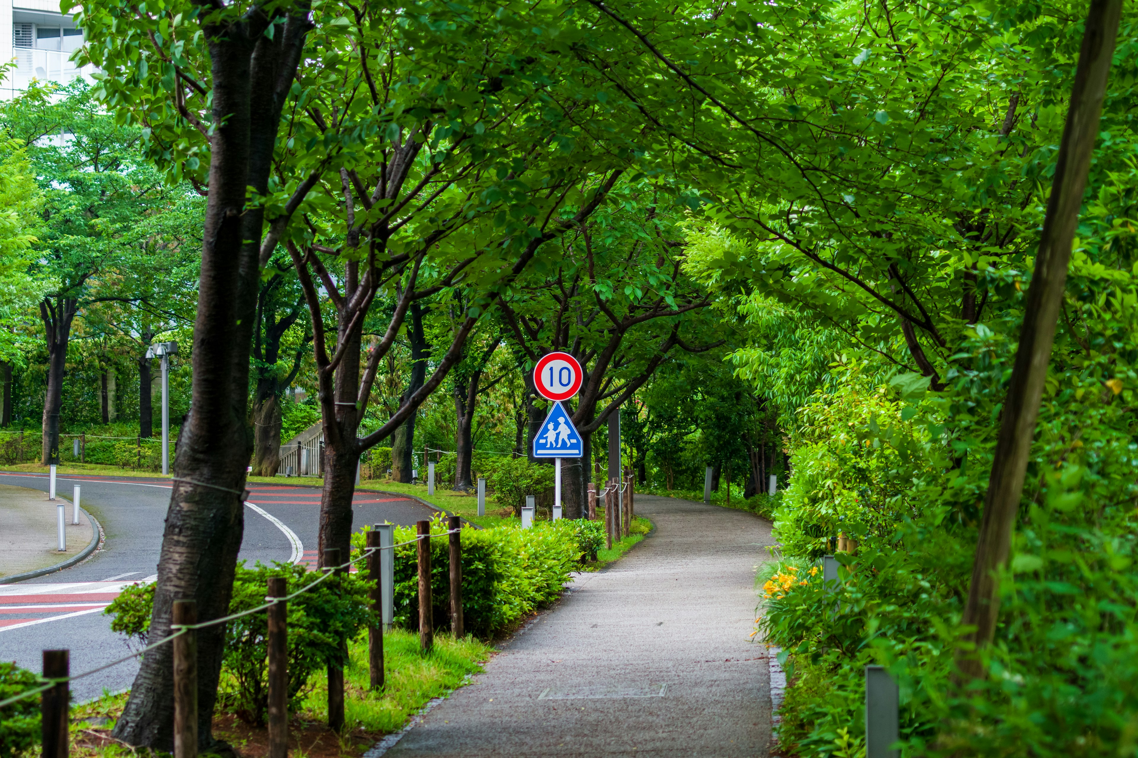 Sentier bordé d'arbres avec une végétation luxuriante et des panneaux de signalisation