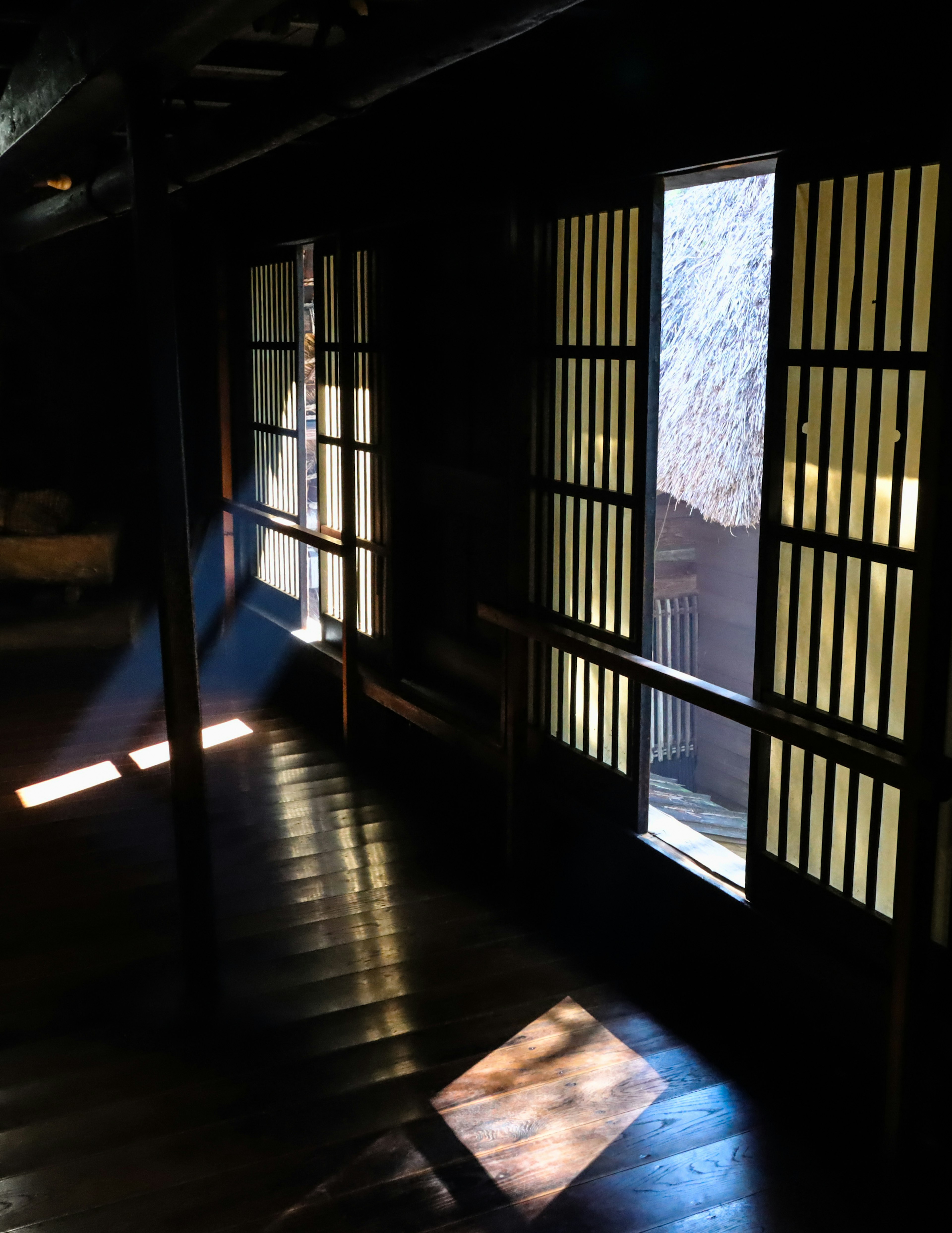 Light and shadow from shoji windows in a dark room