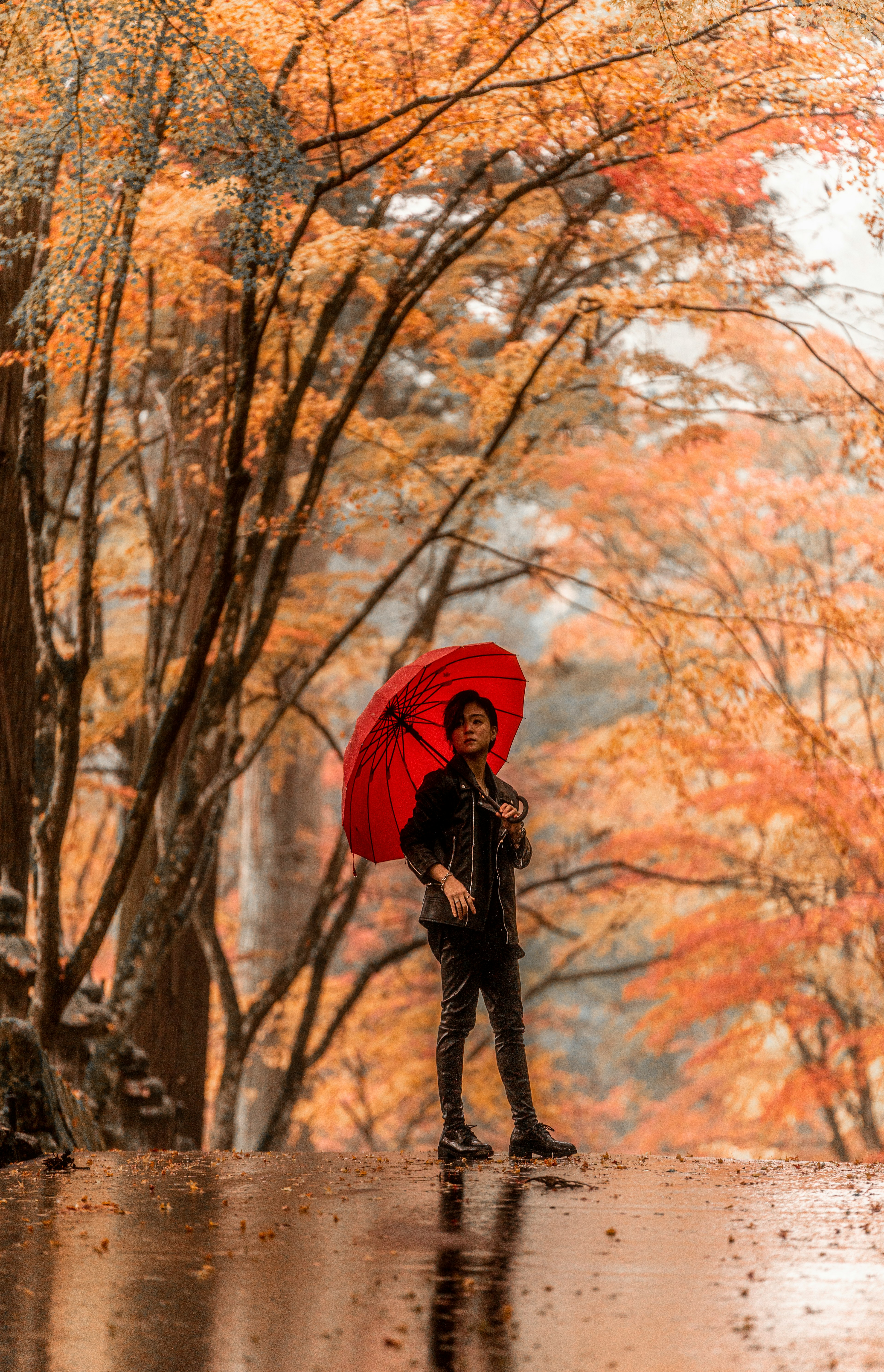 Persona con un paraguas rojo rodeada de follaje de otoño