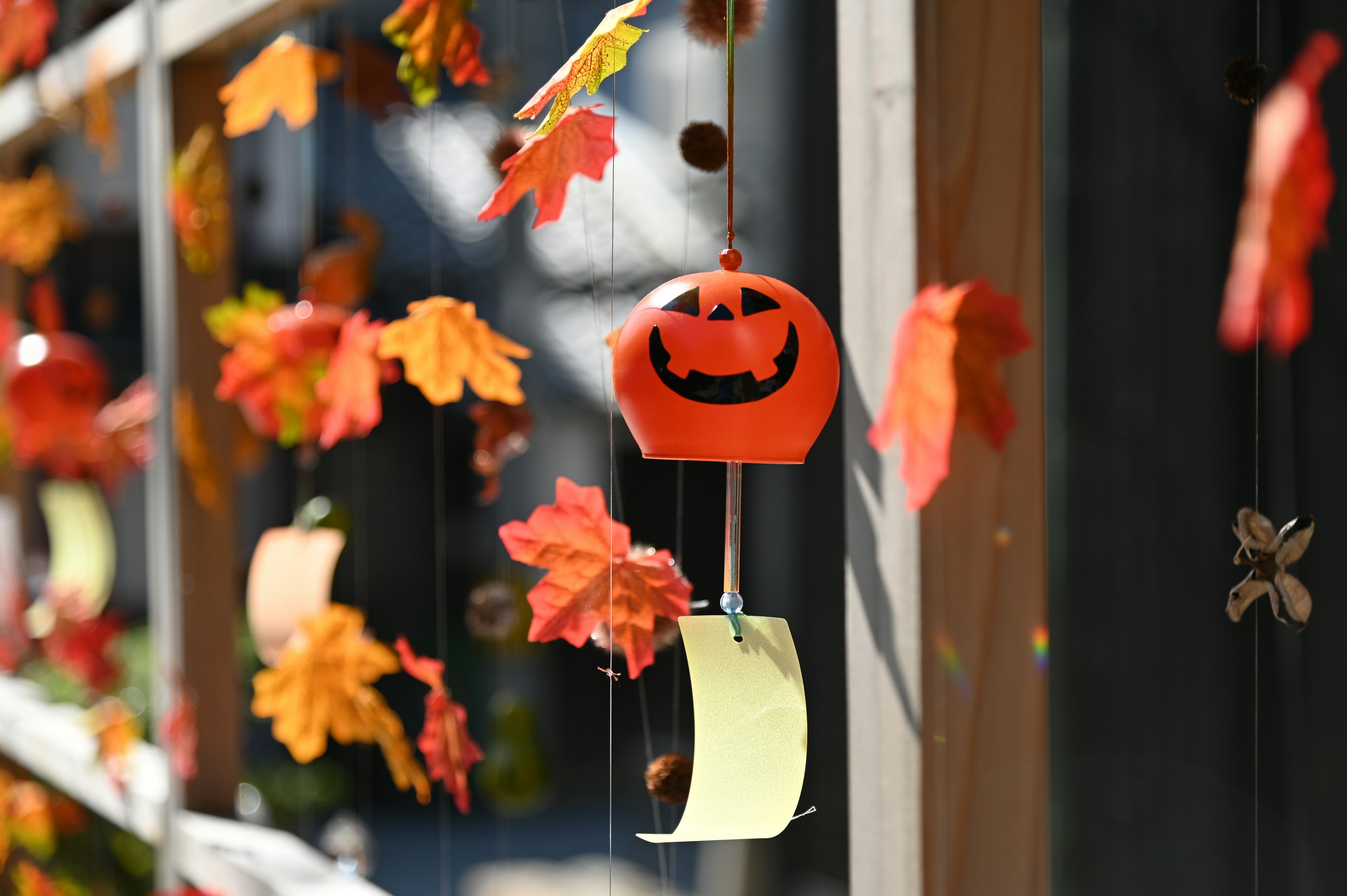 Hojas de otoño coloridas y decoración de calabaza para Halloween