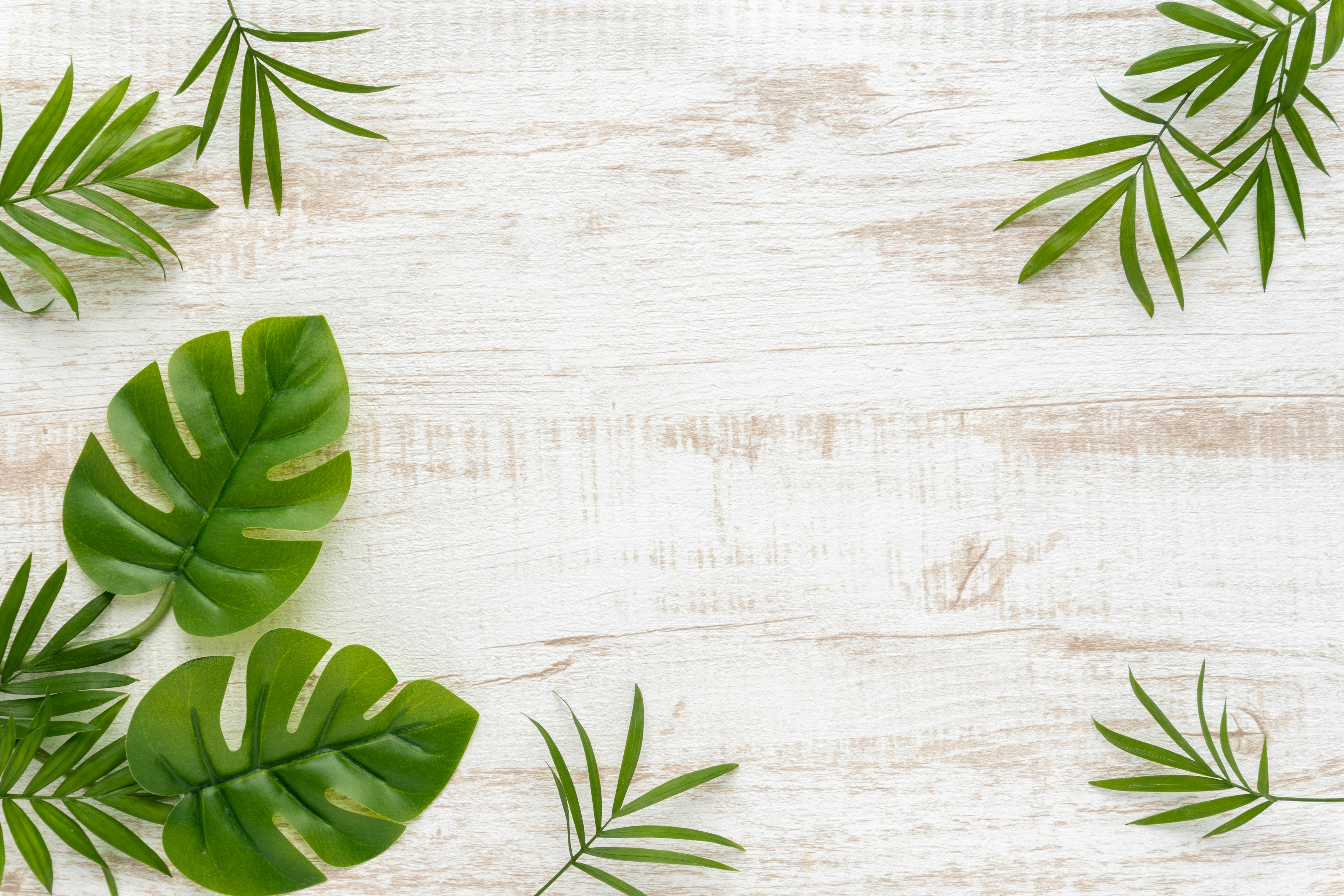 Green leaves arranged around a wooden textured background