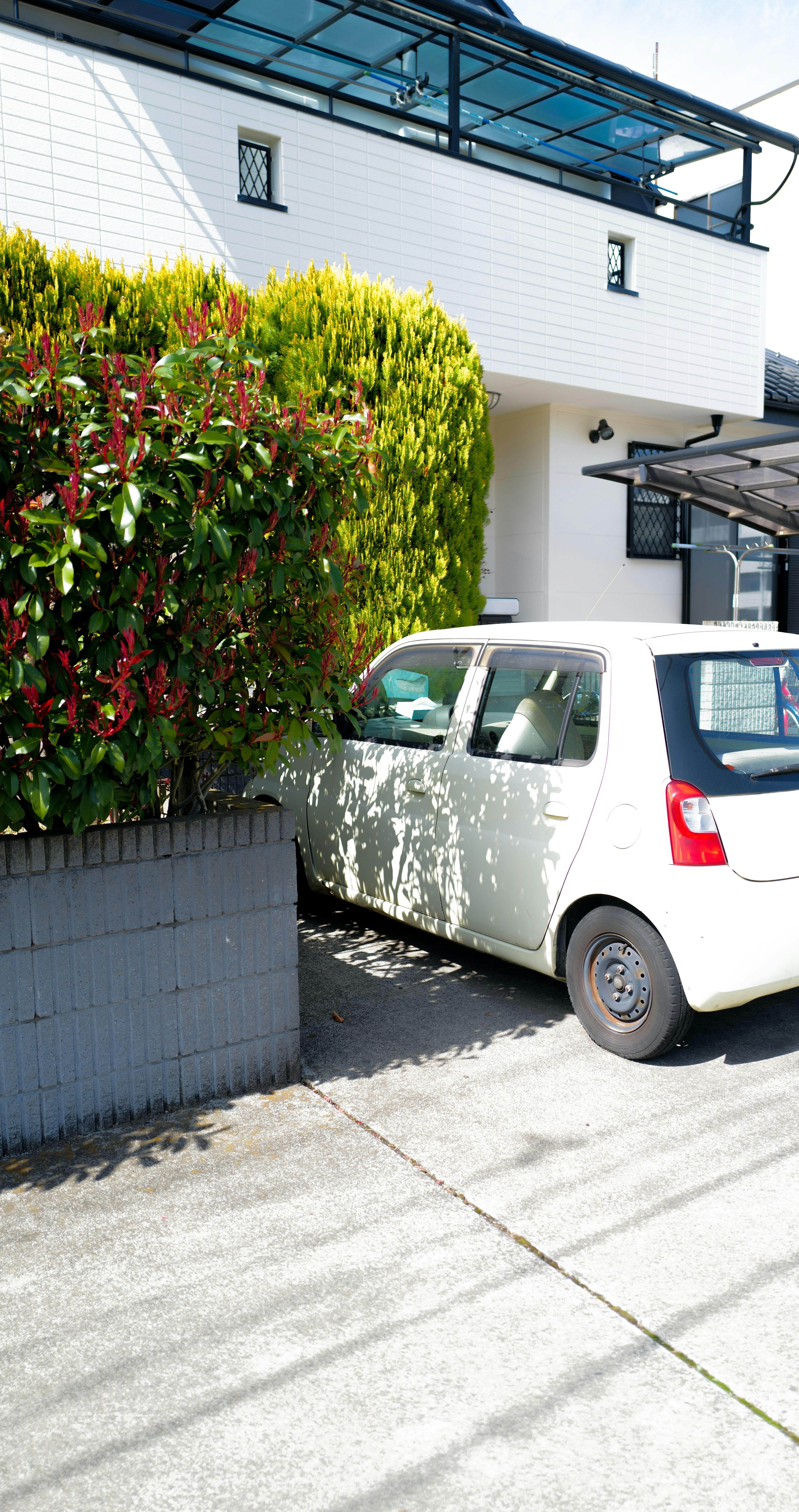 白い車が緑の植栽の近くに停まっている