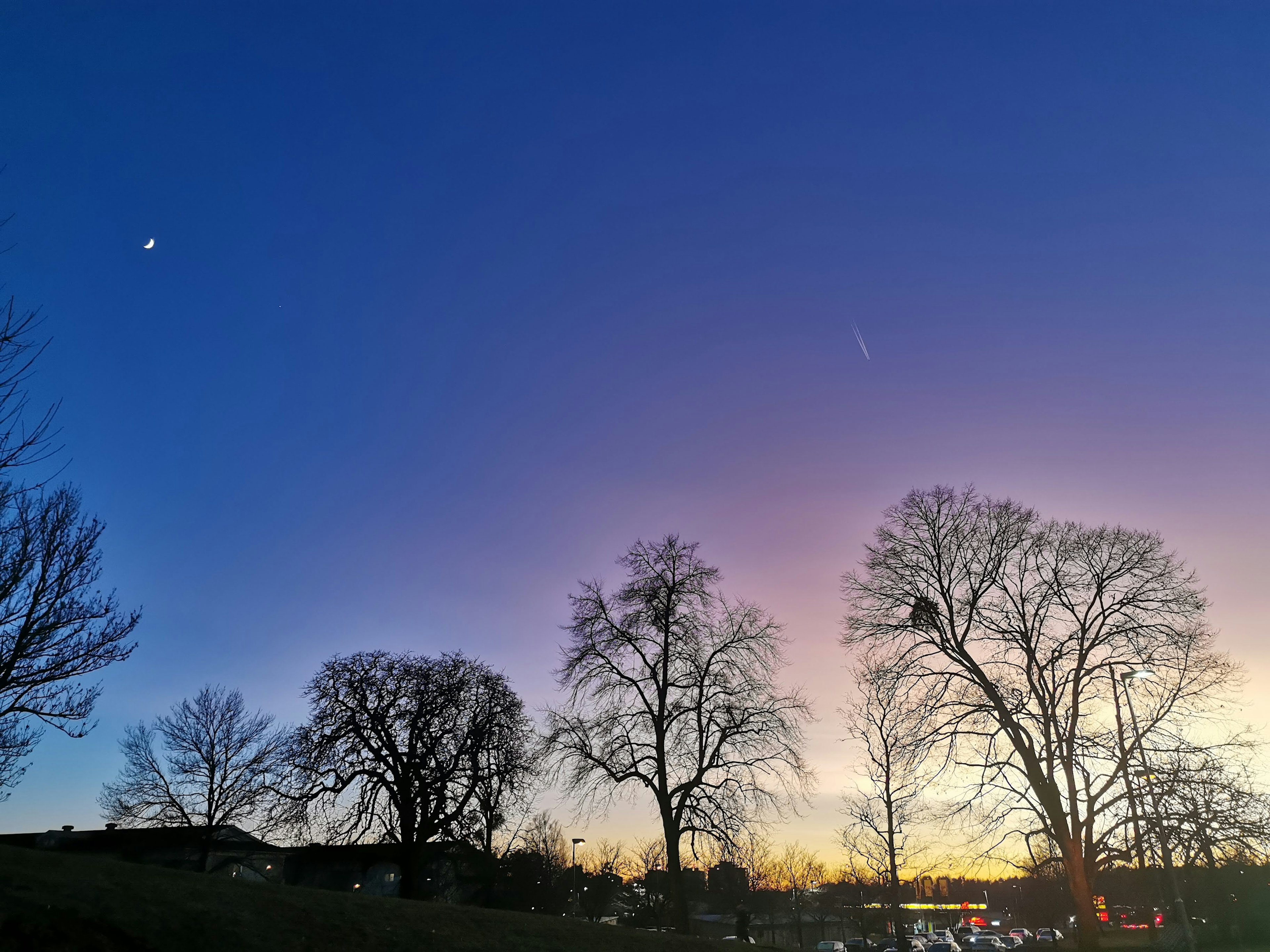 夕暮れ時の空に月と星が輝く風景 大きな木々がシルエットで映える