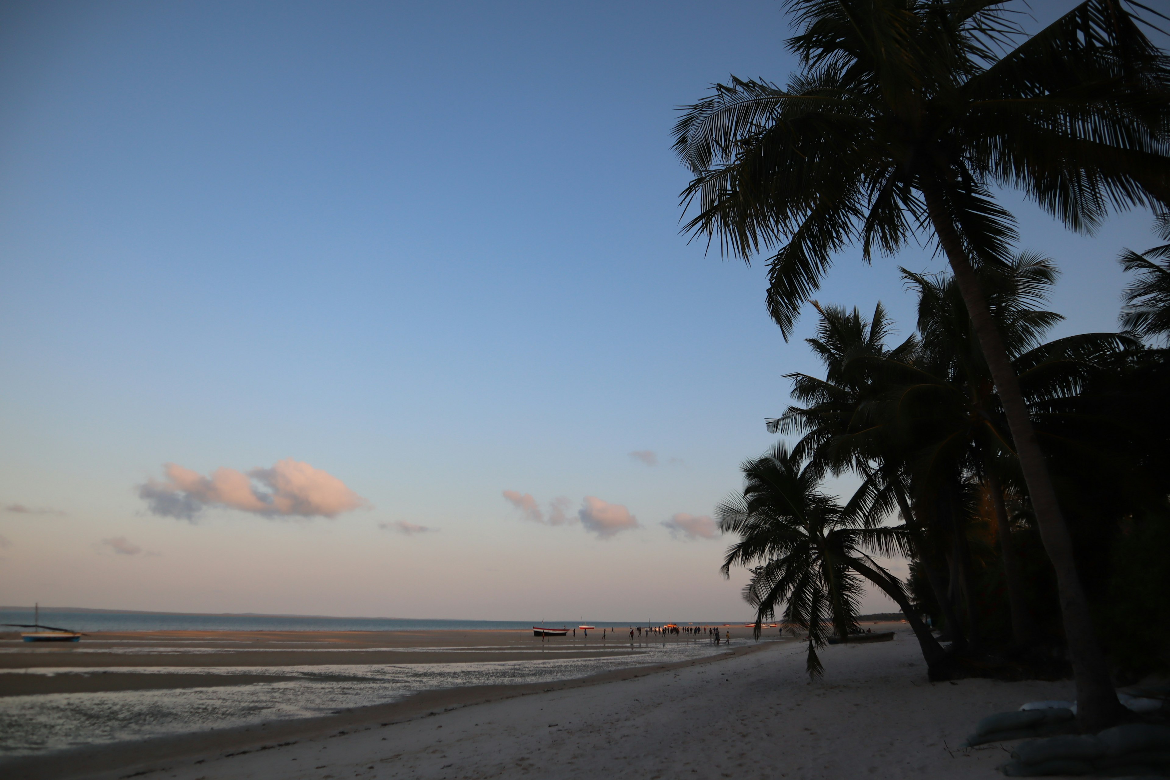 Pantai saat matahari terbenam dengan pohon palem dan awan di langit