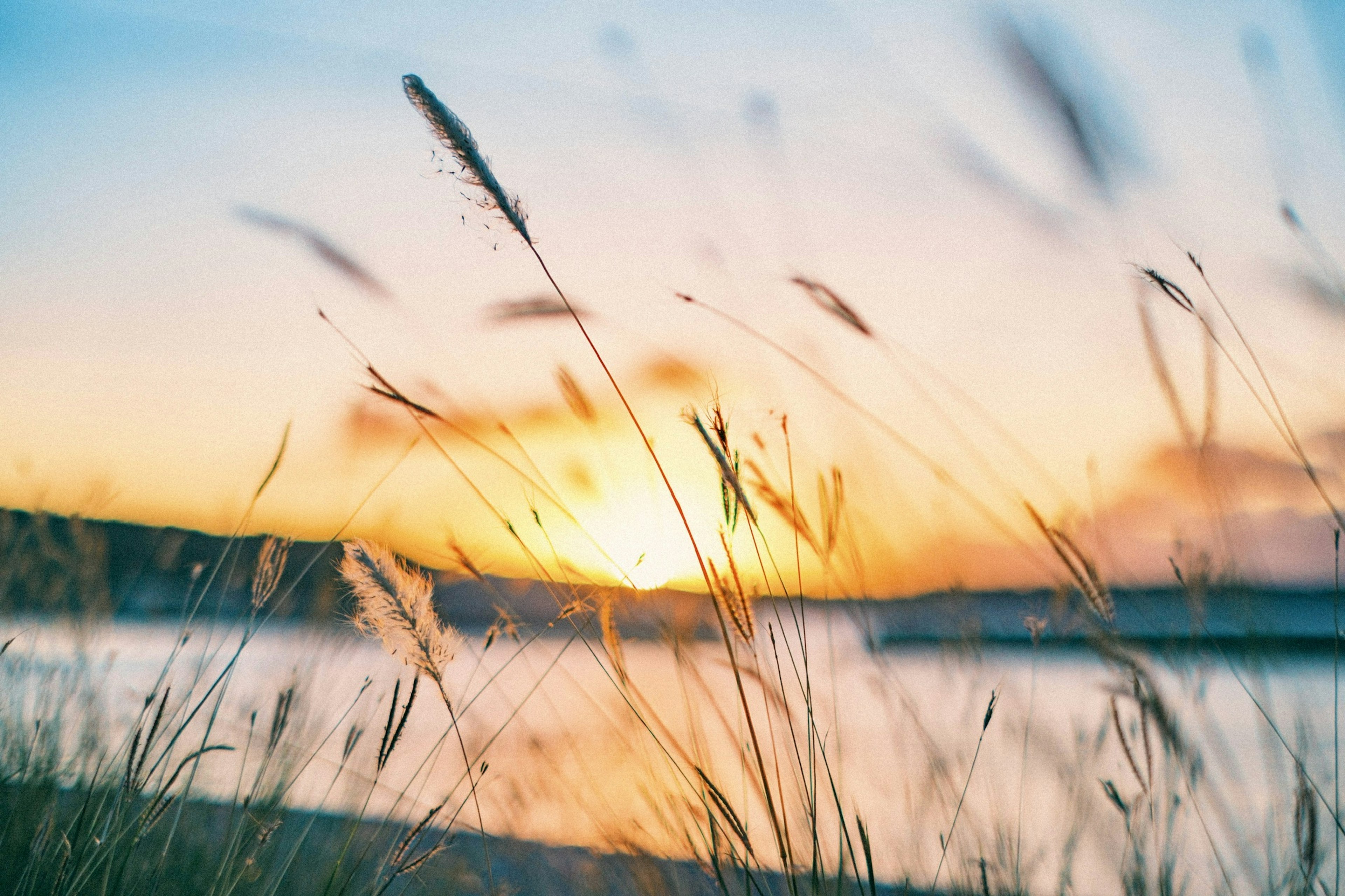 Wunderschöne Landschaft mit Sonnenuntergang, der sich im Wasser spiegelt und Grassilhouetten